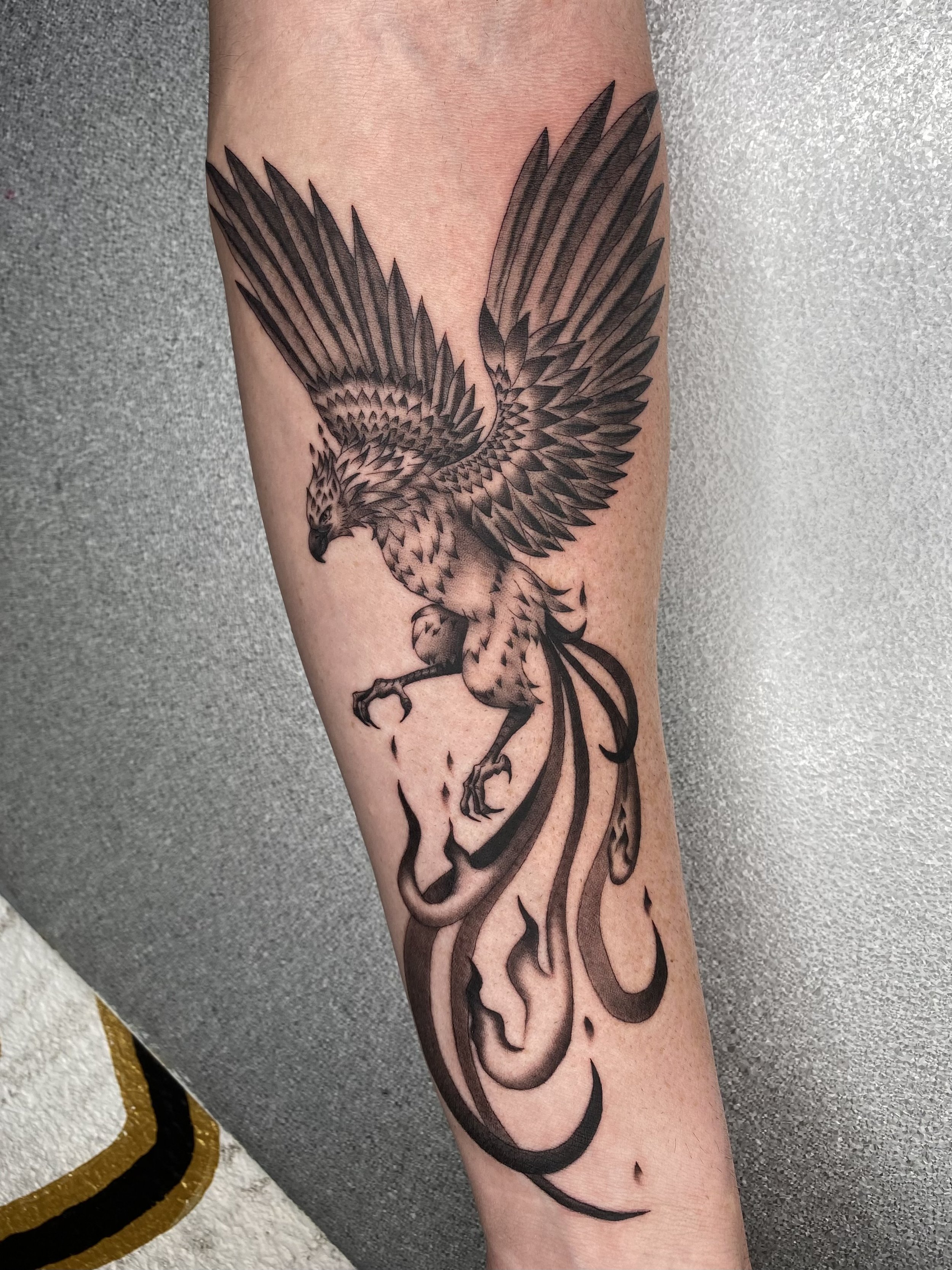 Sasha (phoenix rising).jpeg