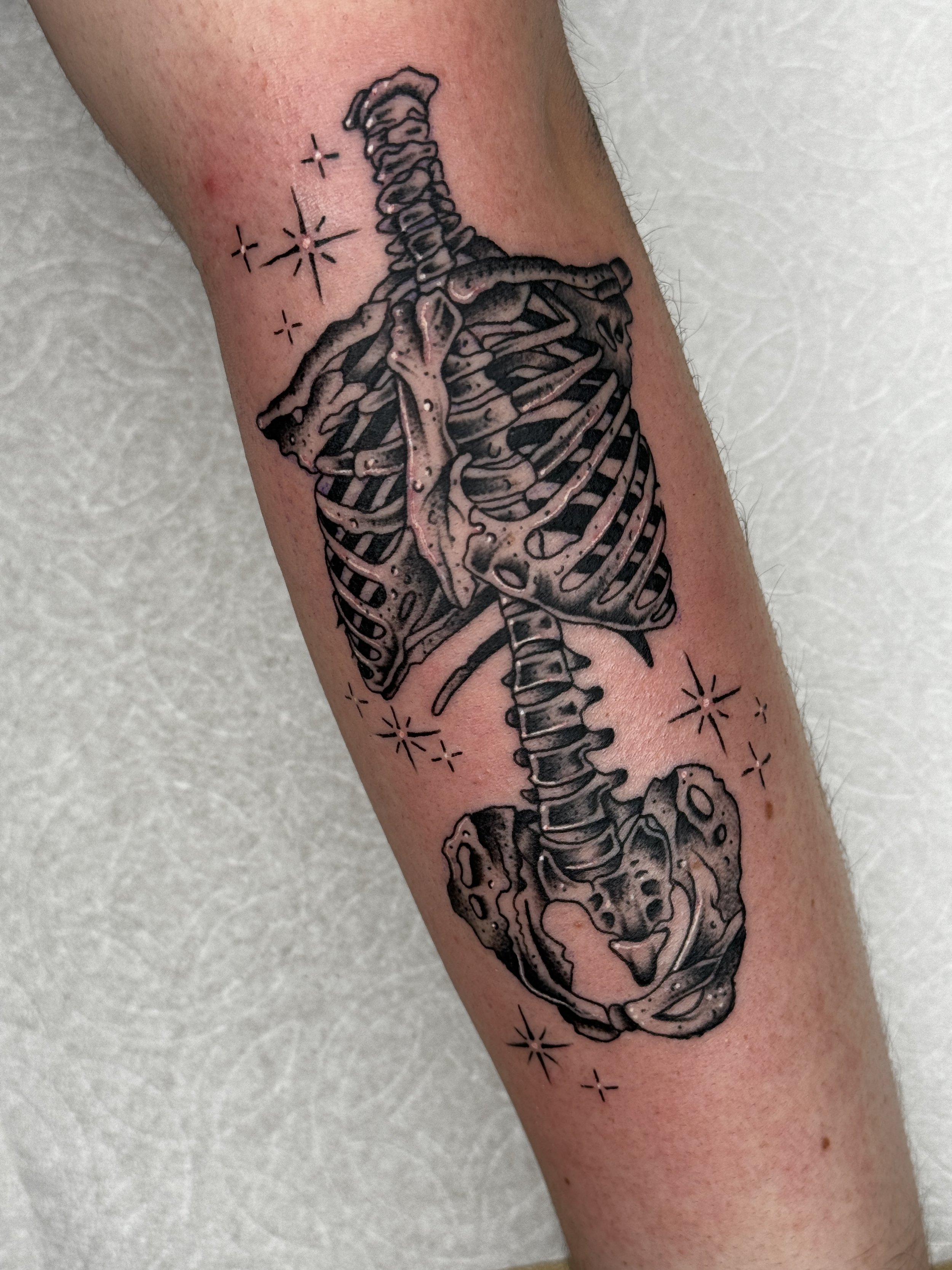 Damiani (partial skeleton).jpeg