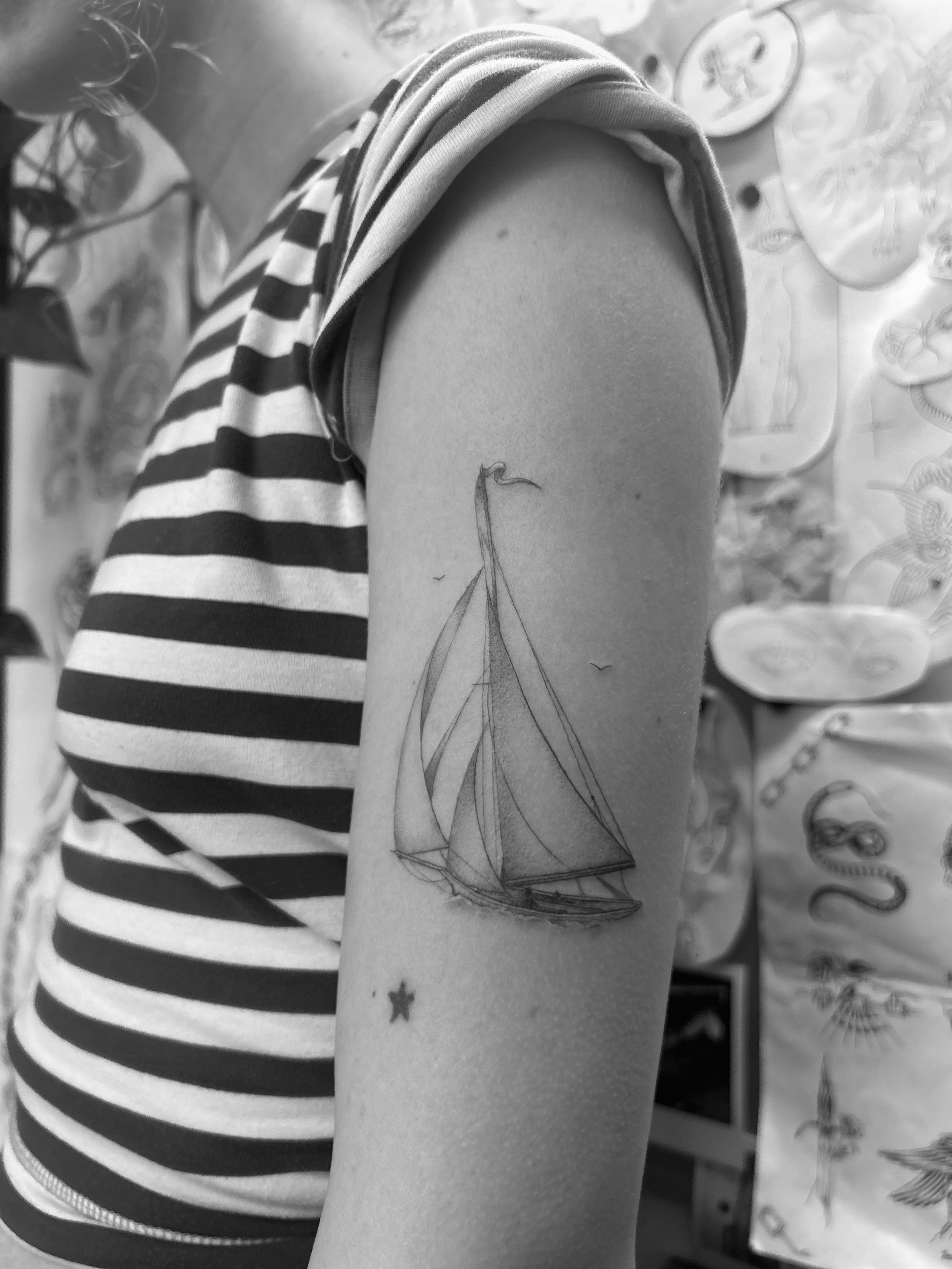 Chase (sailboat).jpeg