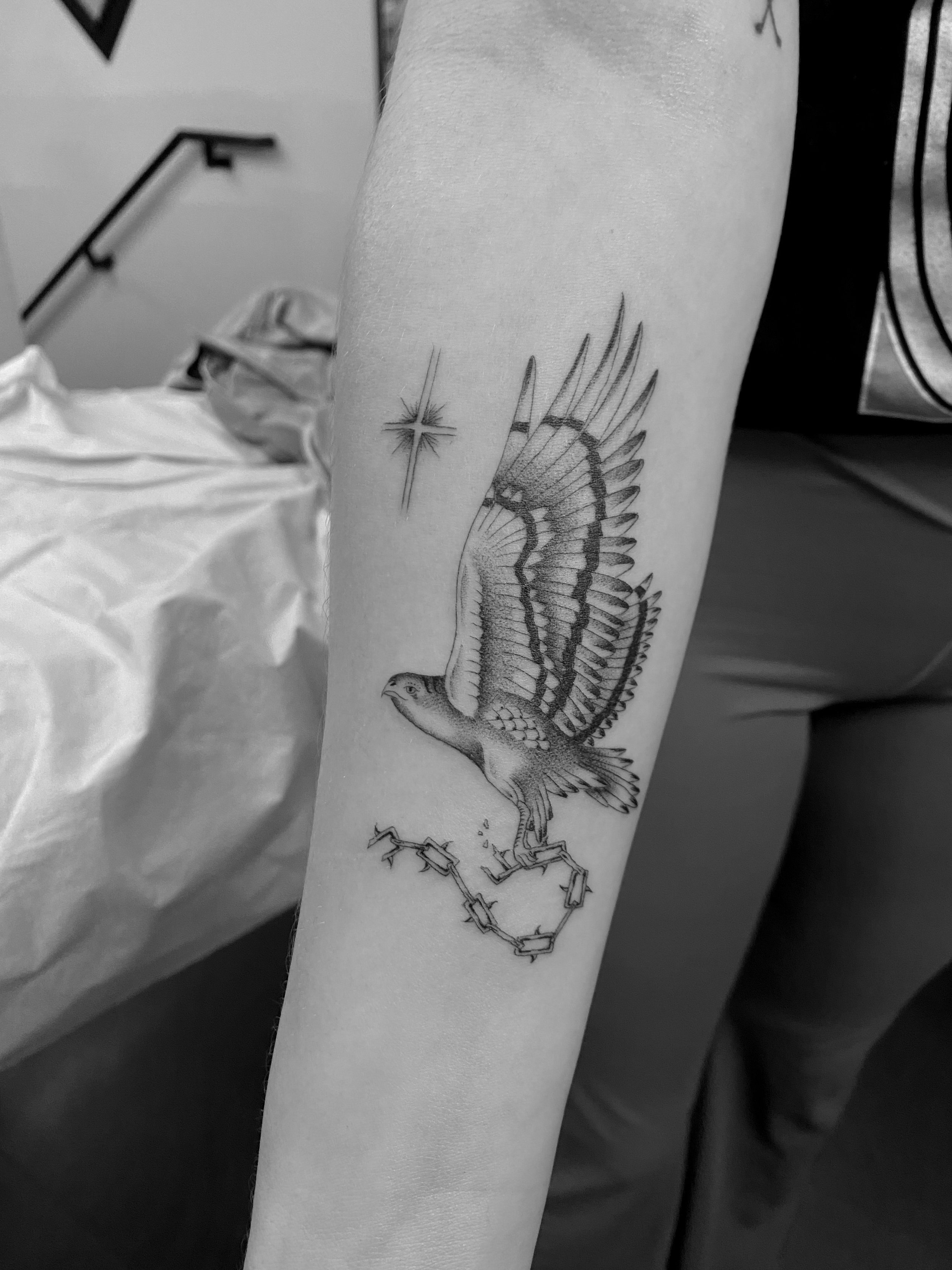 Chase (bird of prey).jpeg