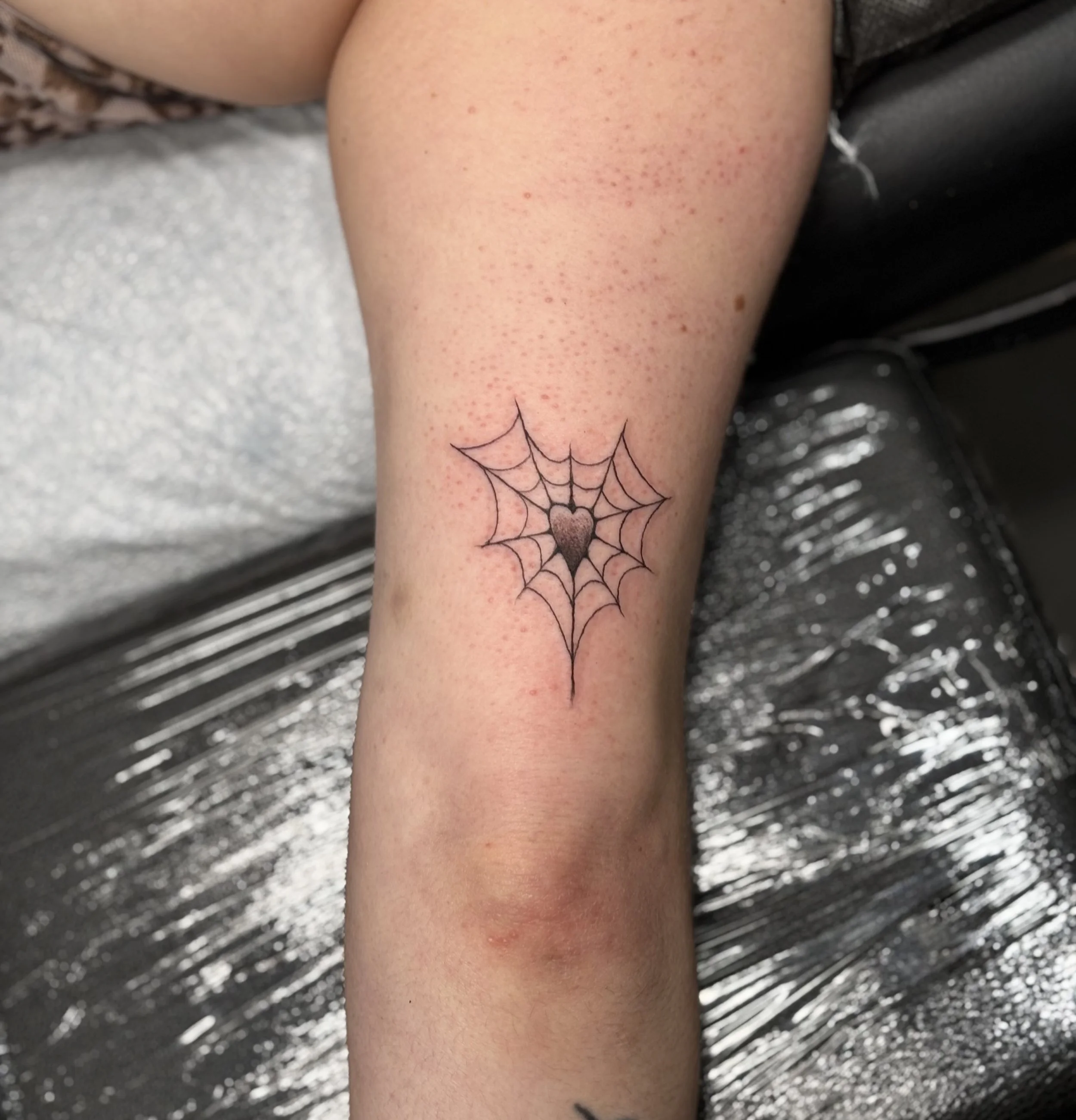 Photo Oct 31 2025, 5 15 56 PM.jpg