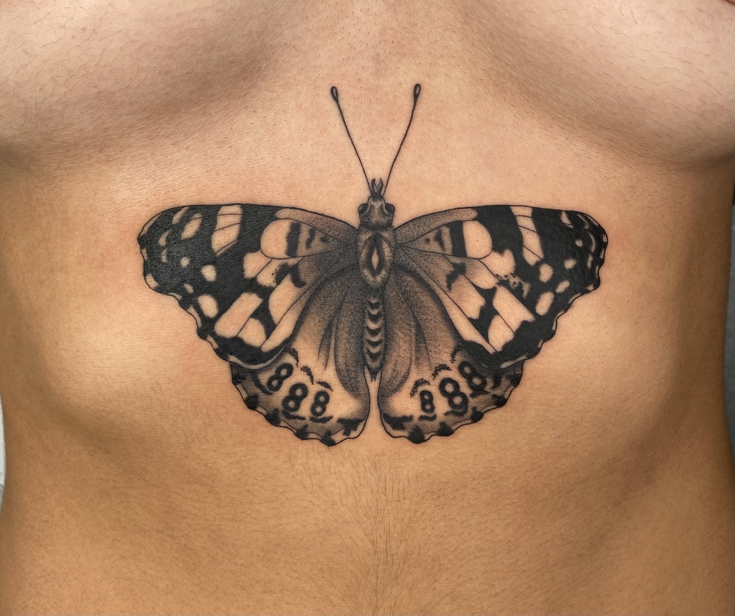 Sasha (moth).jpeg