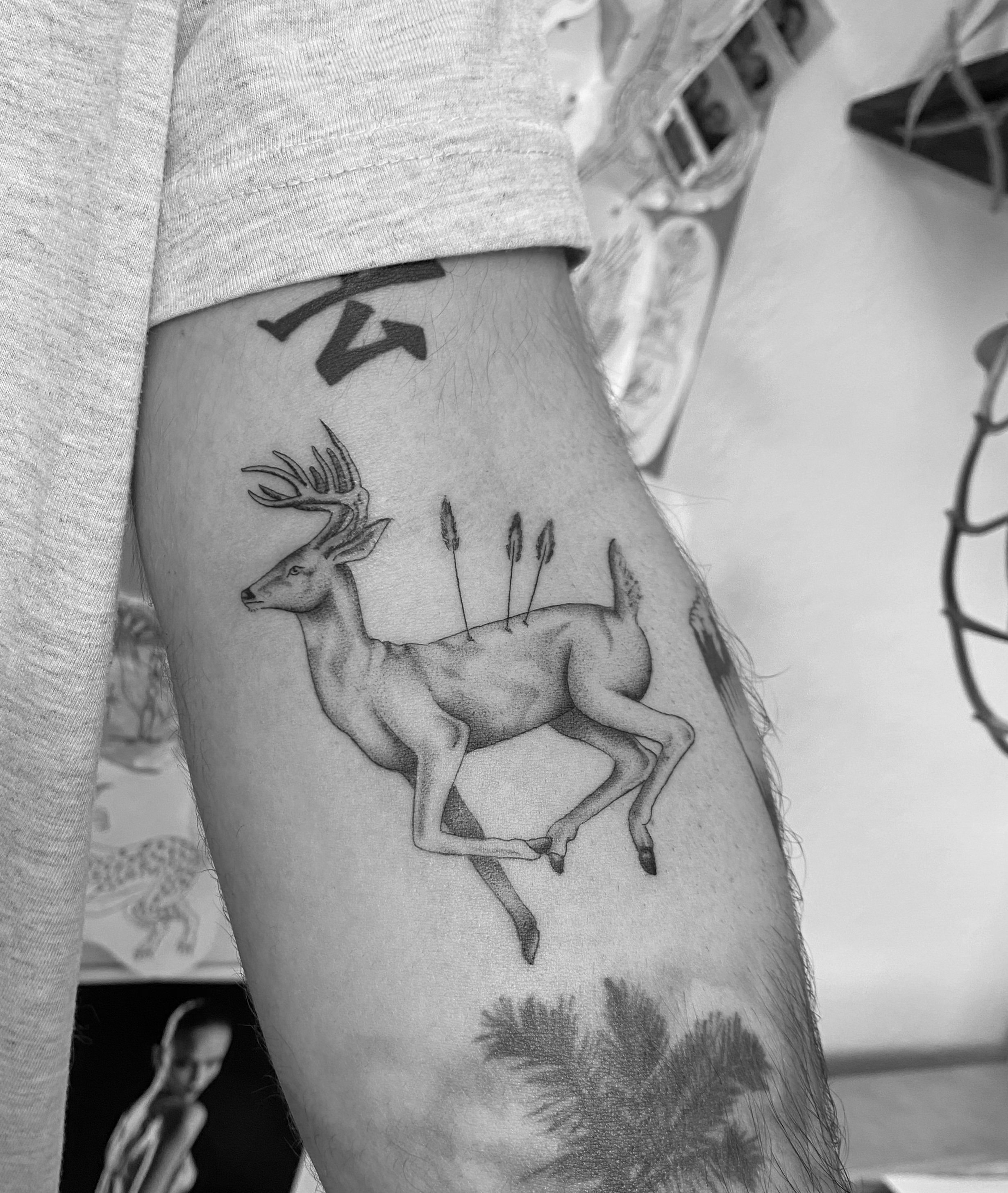 Chase (deer).jpeg