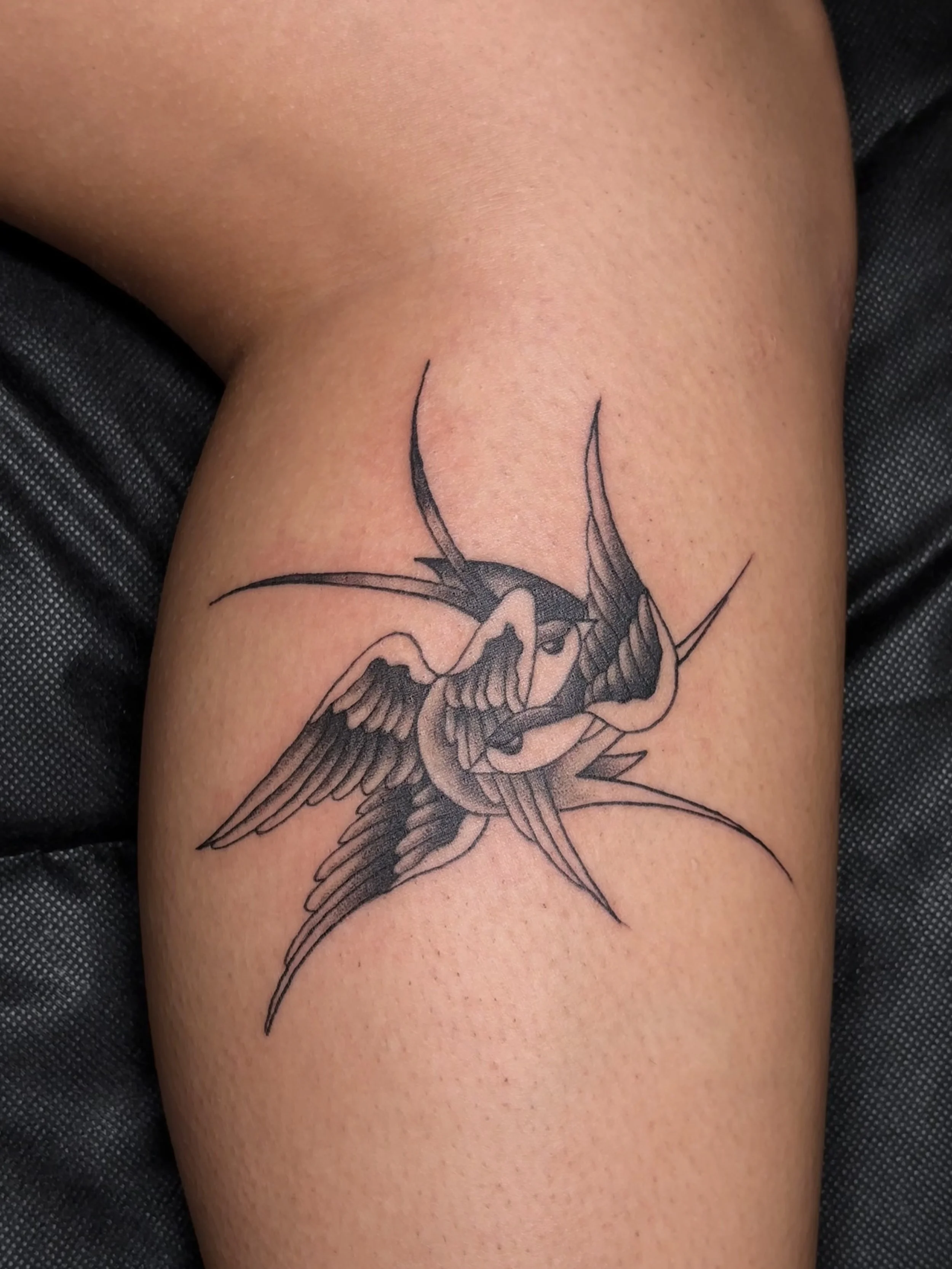 Photo Sep 29 2025, 8 53 33 PM.jpg