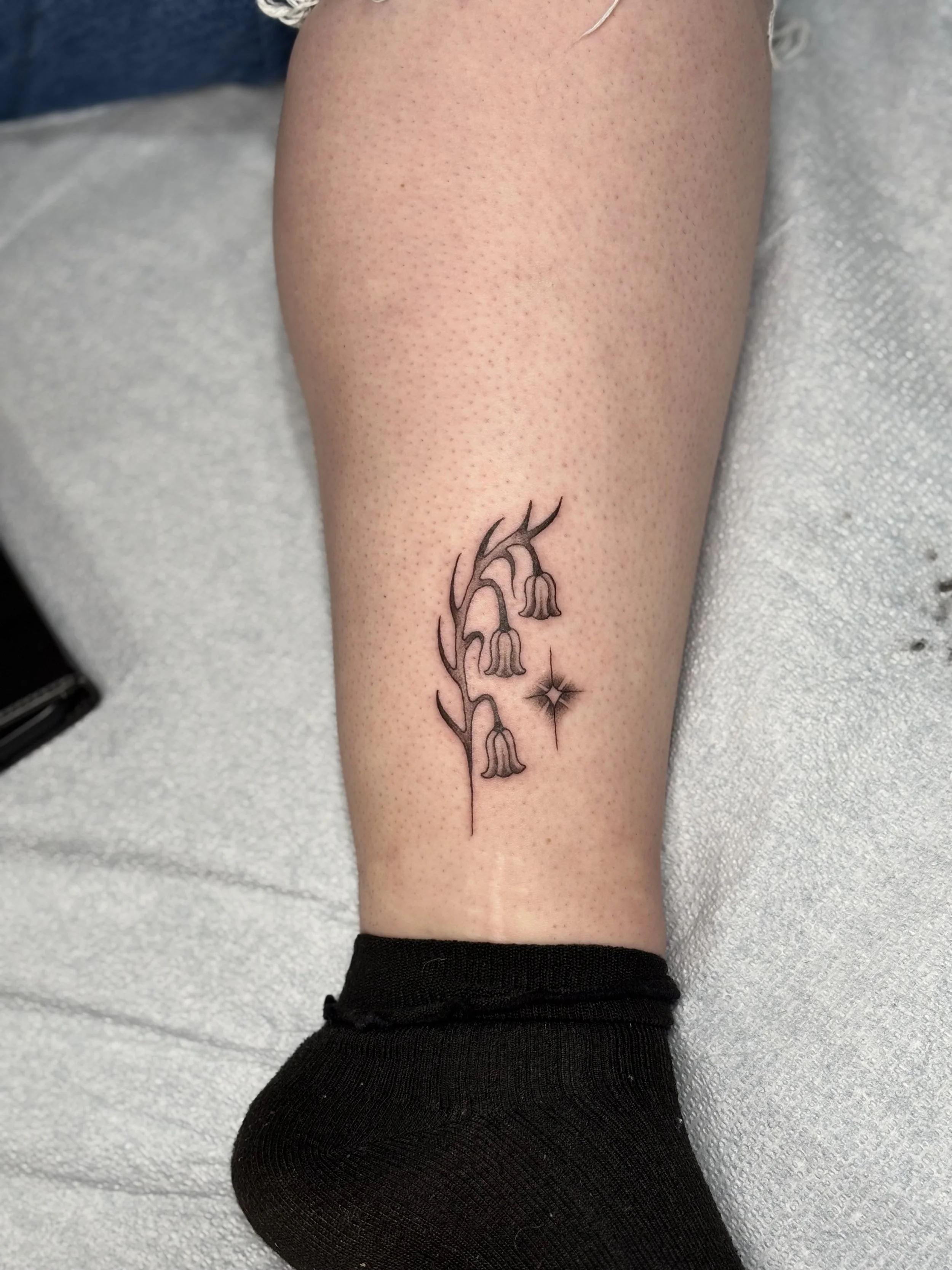 Photo Oct 31 2025, 11 18 27 AM.jpg