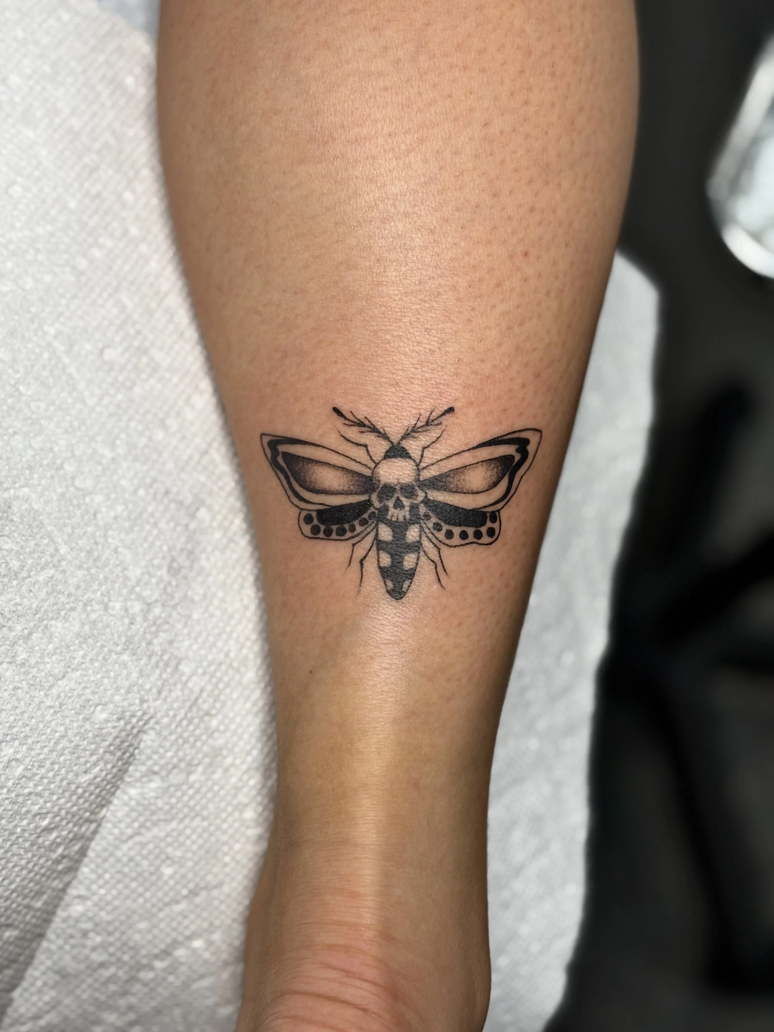 Photo Oct 31 2025, 11 26 24 PM.jpg