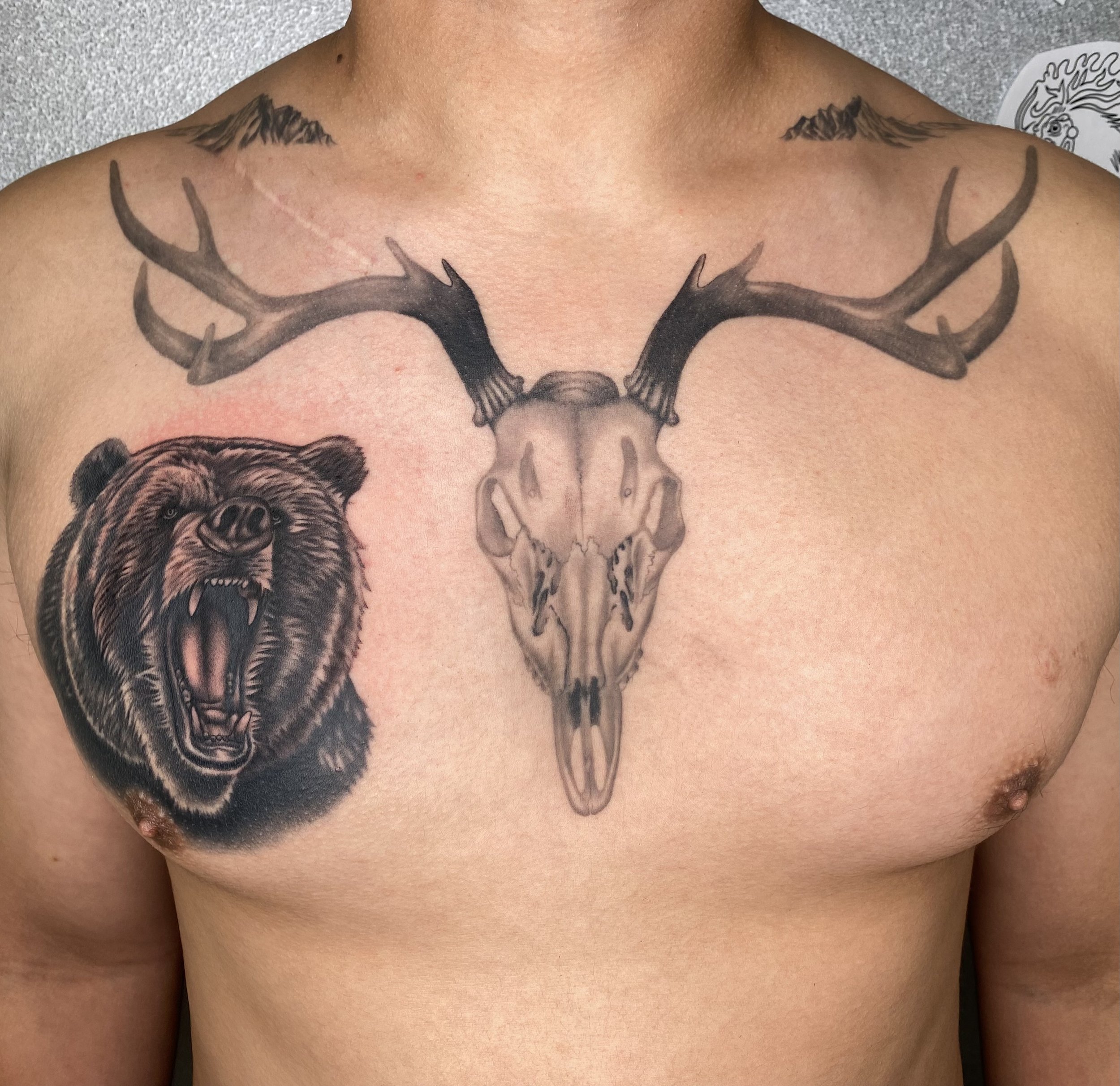 Sasha (grizzly, wendigo skull).jpeg