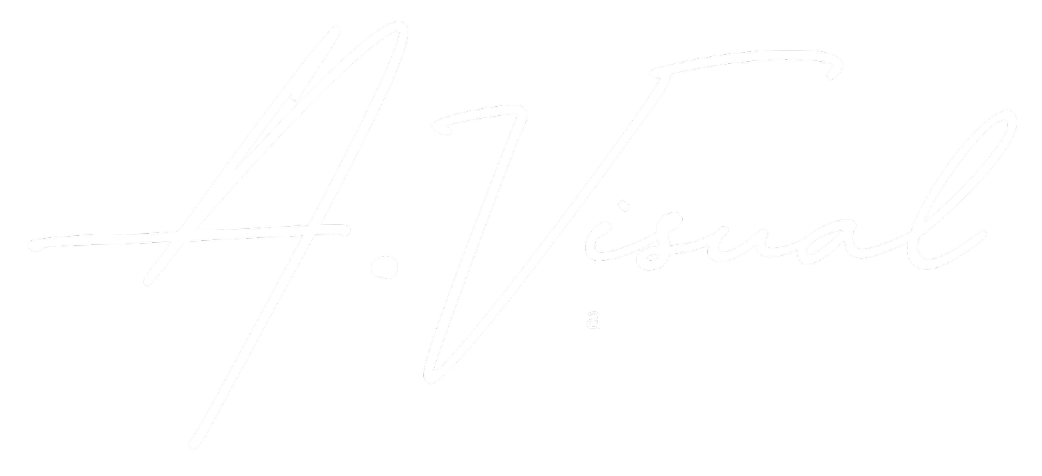 A.Visual | a PMC experience.