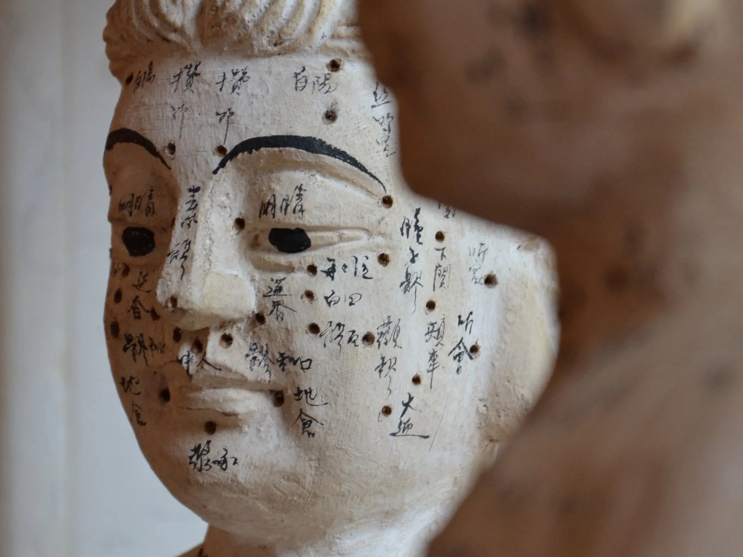 Mit Akupunktur zum Wunschkind – ganzheitliche Unterstützung bei unerfülltem Kinderwunsch