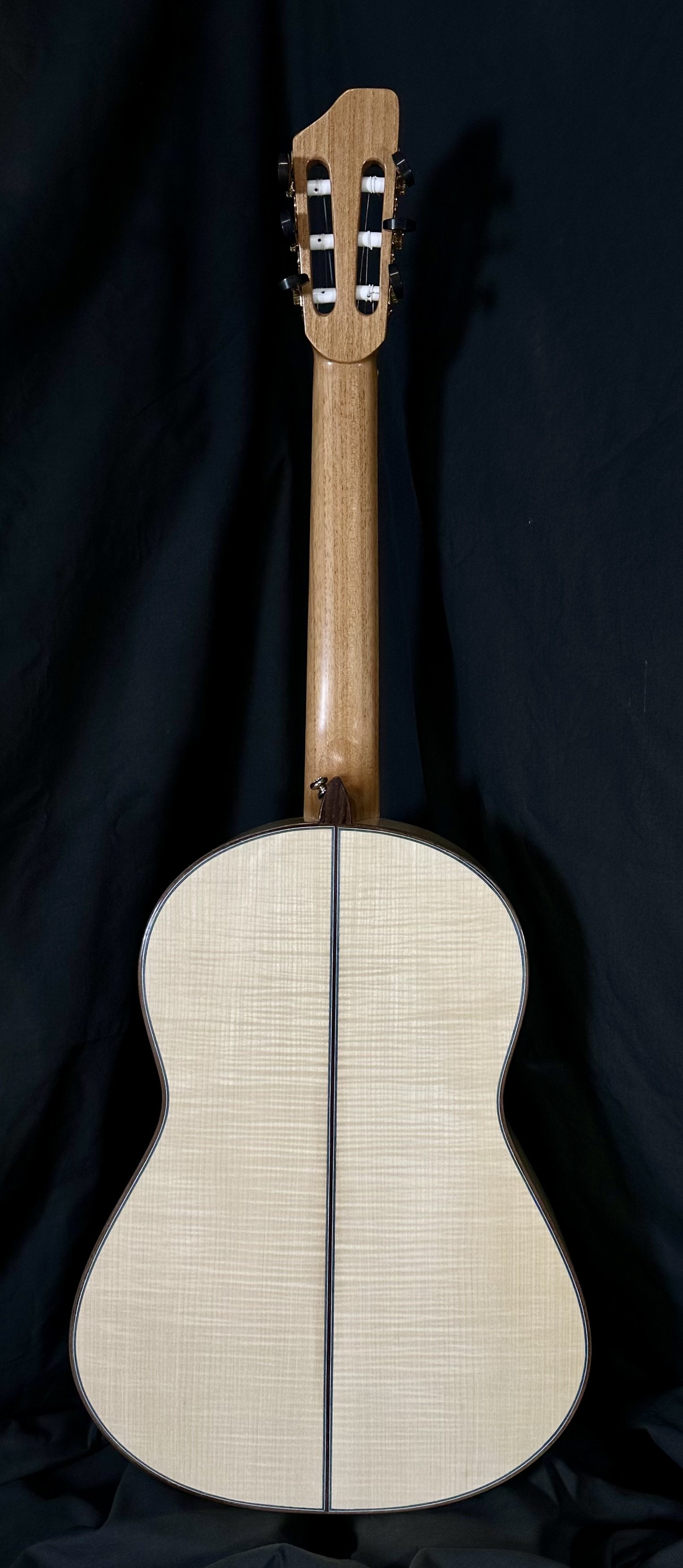 Guitar 11-Back.jpeg
