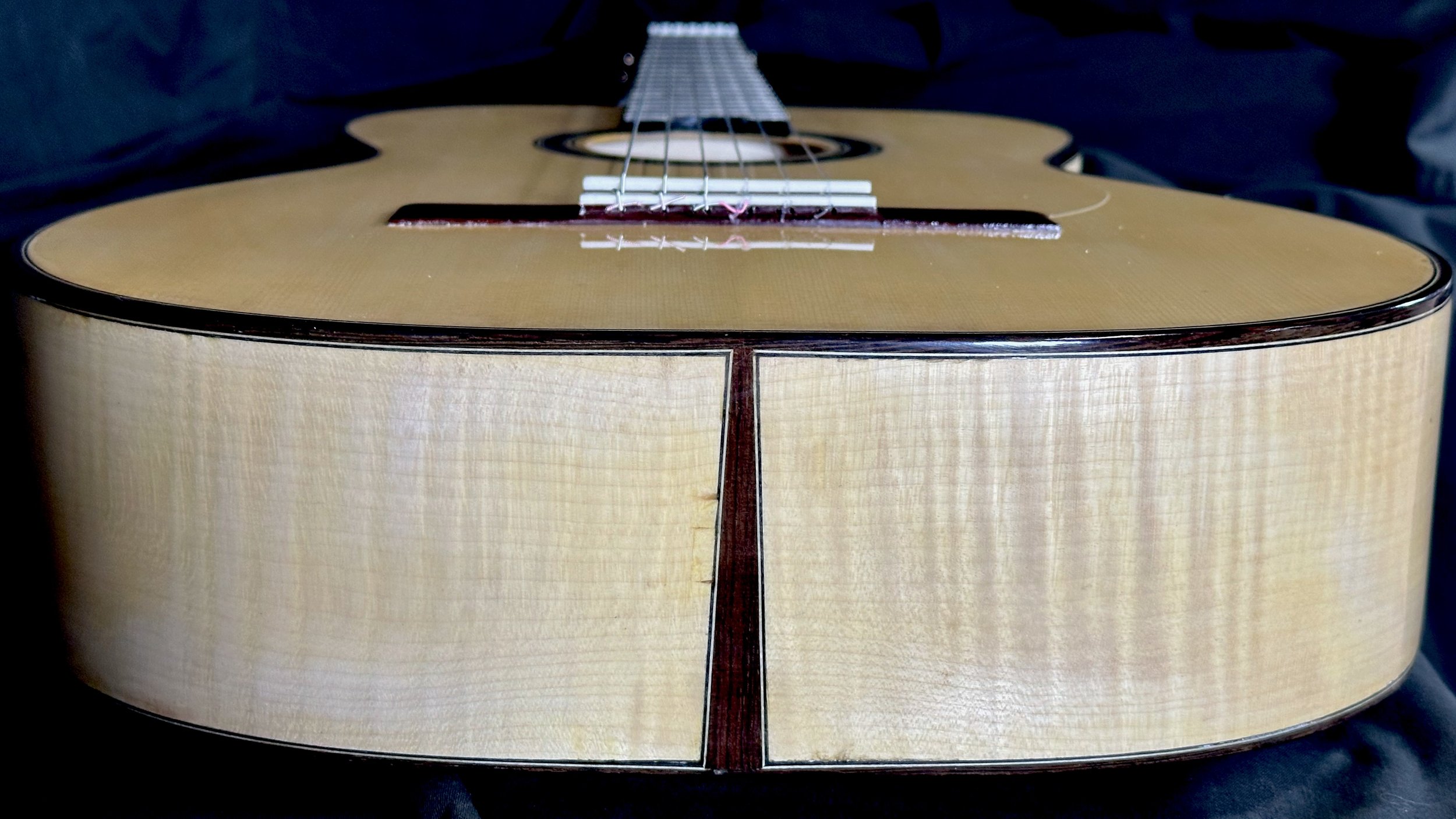 Guitar 15 Tail.jpeg