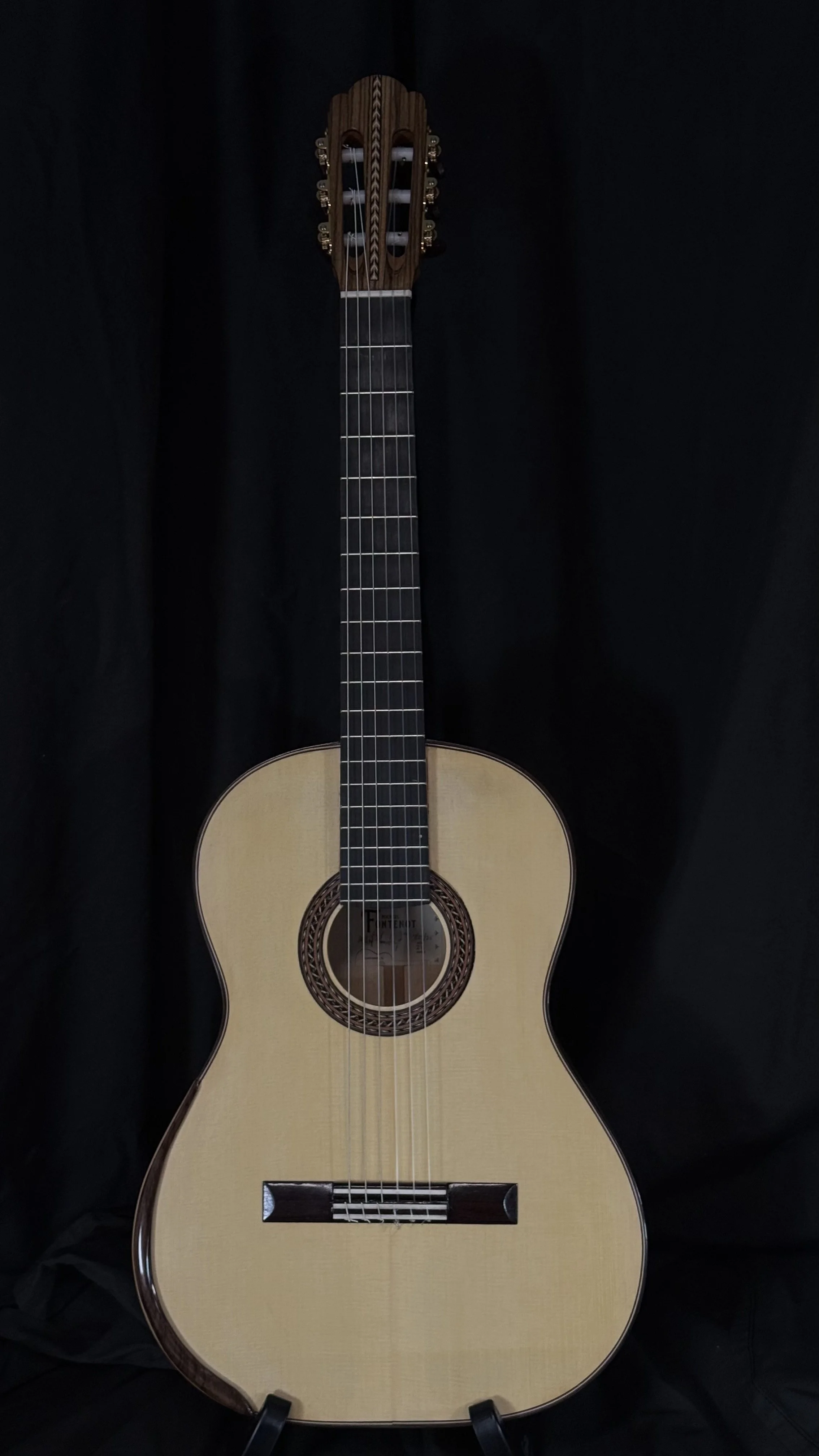 Guitar #24