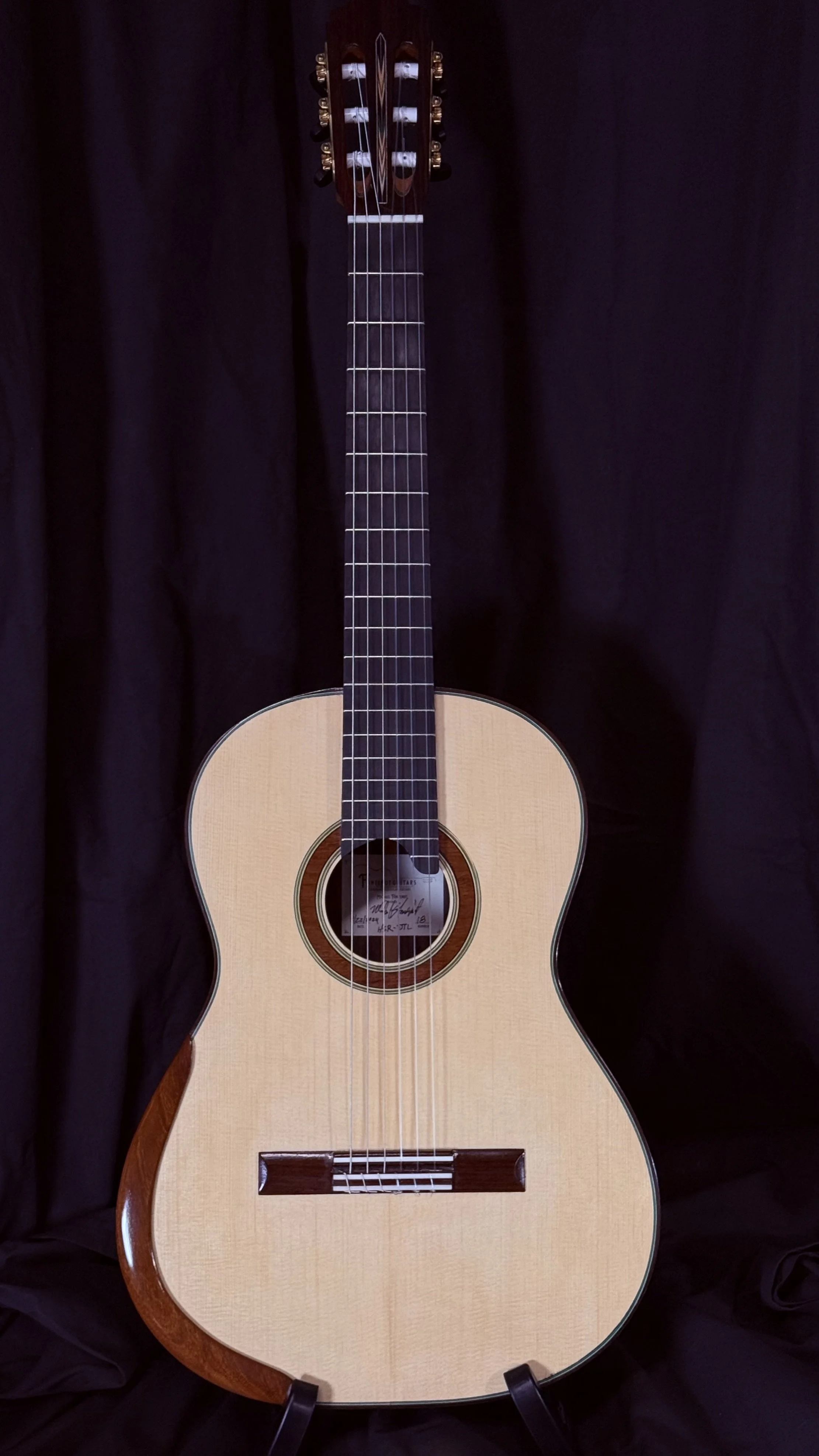 Guitar #18