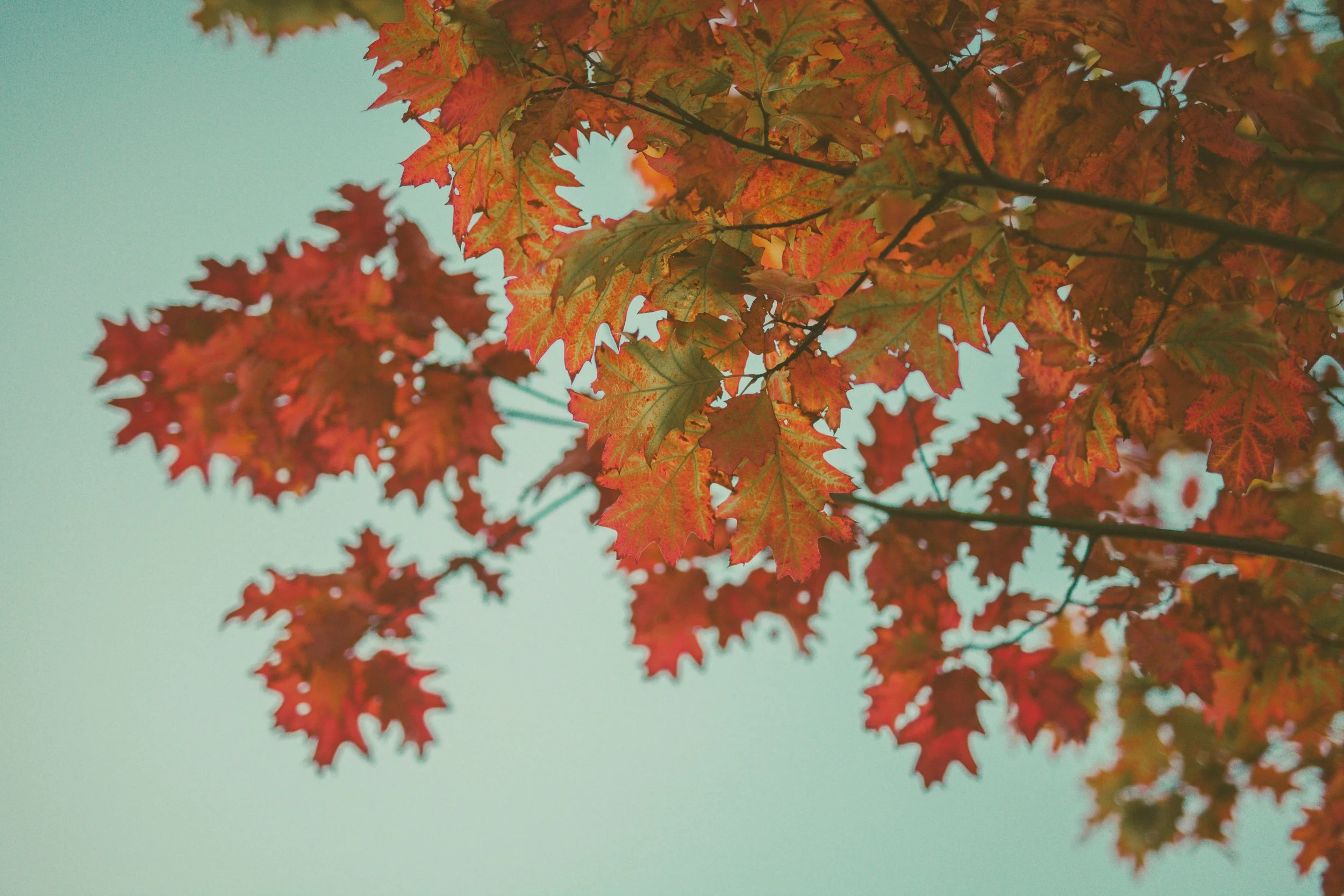 September Observances