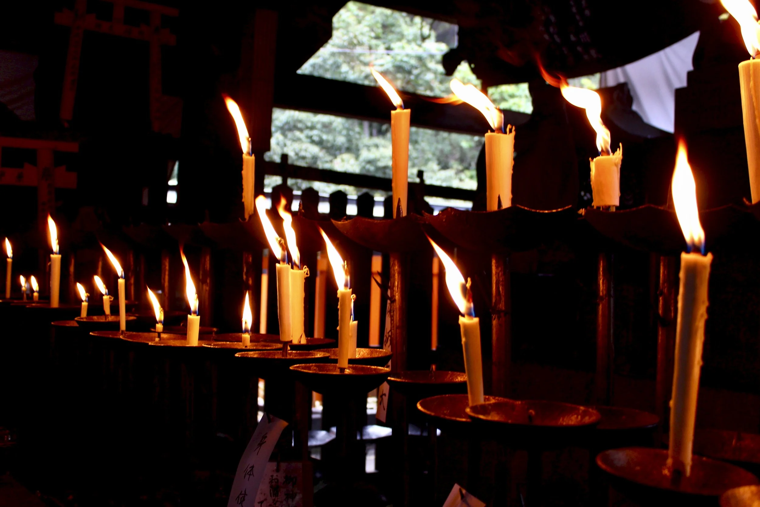 IMG_2880 - Version 2.jpg