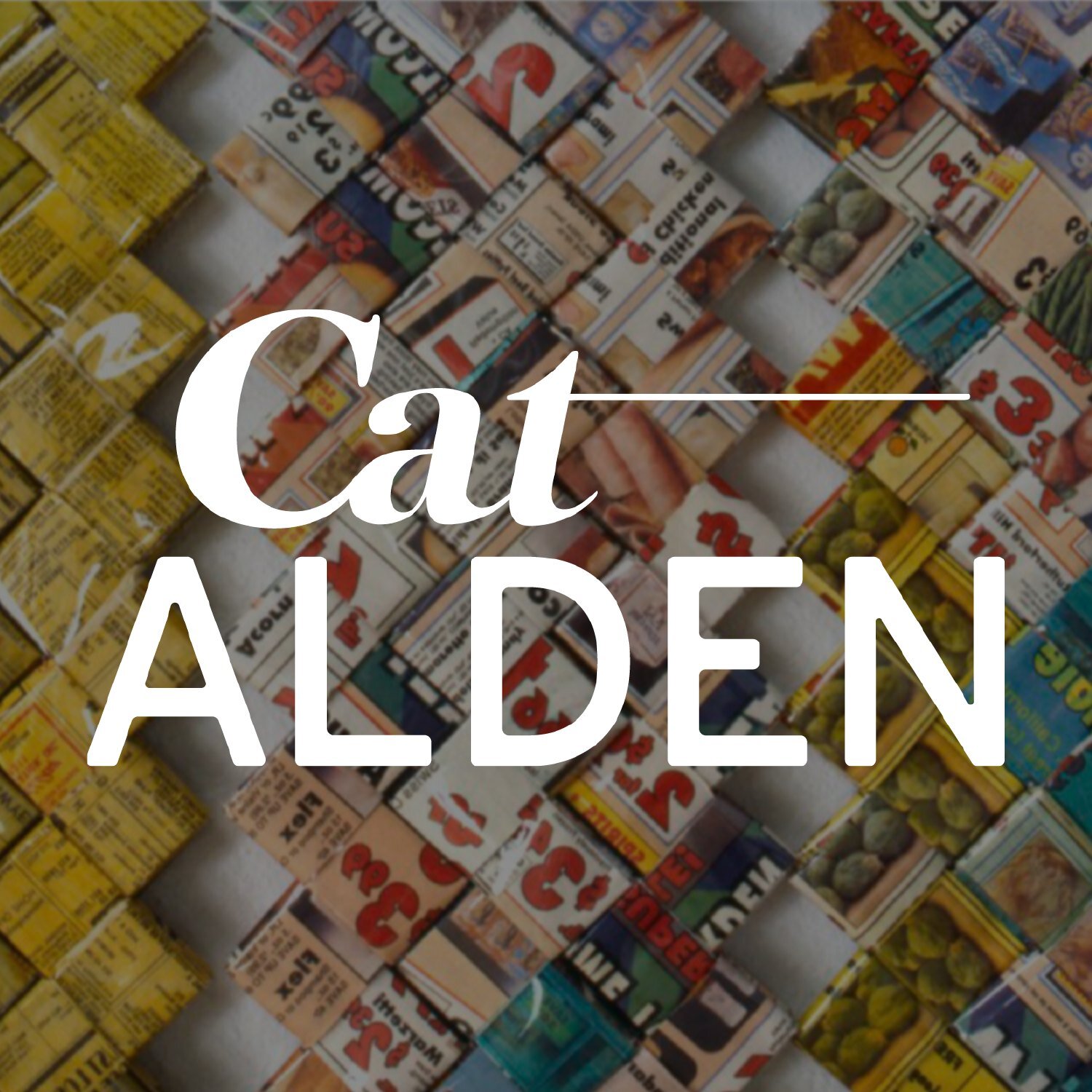 Cat Alden, a Petaluma based artist, needed branding and a website that supplemented her art and effectively showcased her work. As a creative herself, Cat was an ideal client for at 2 Day Design Intensive because of its collaborative nature. Cat came