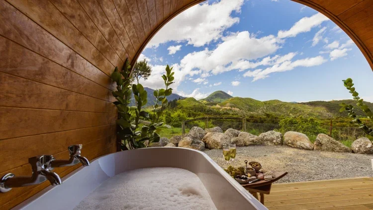 The Lookout Nest 5.webp