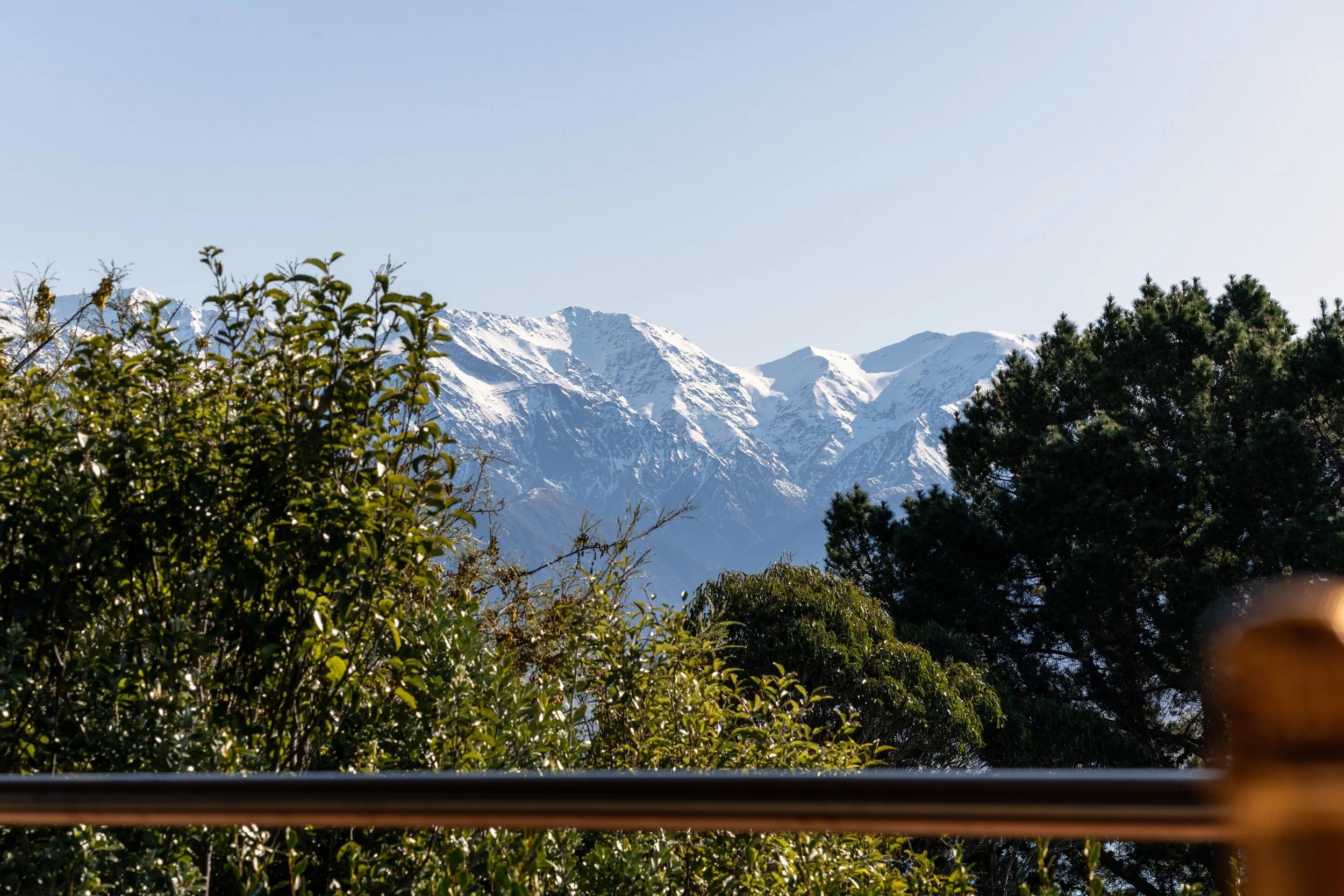 The Gallery Kaikoura 11 - Kaikoura Elopement Co..jpg