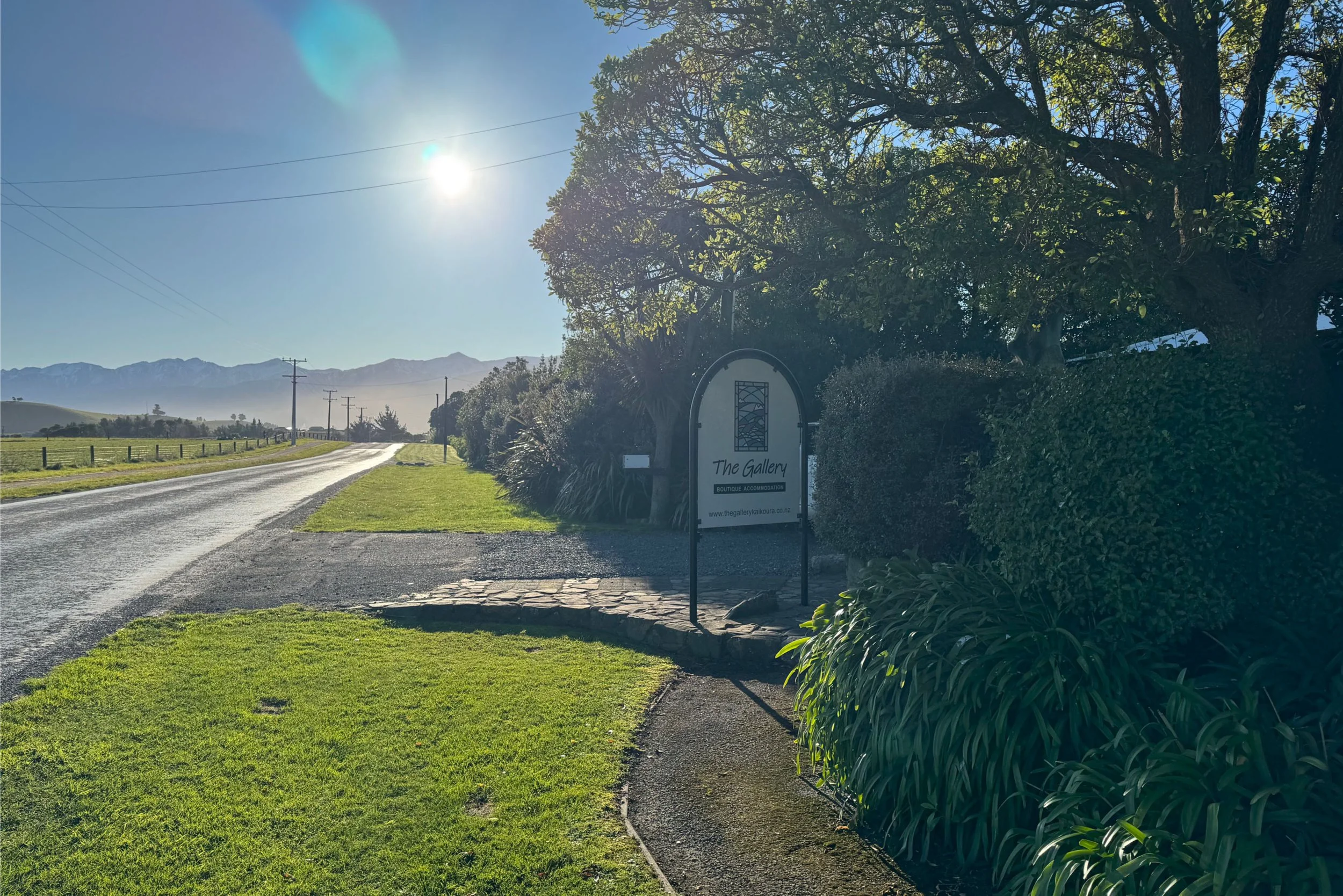 The Gallery Kaikoura 16 - Kaikoura Elopement Co..jpg