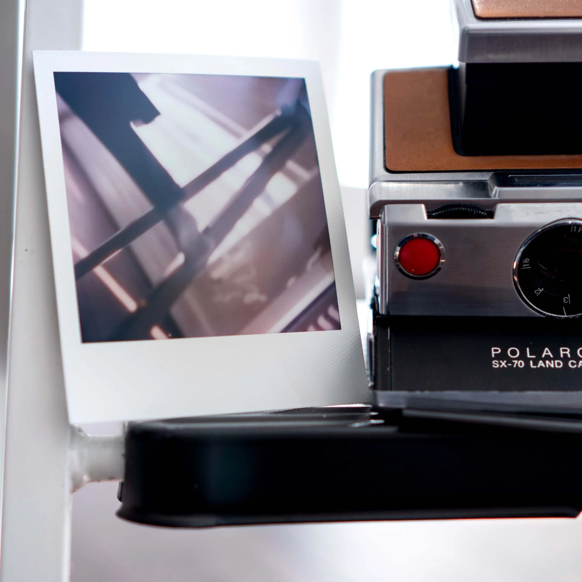 Polaroid Week Autumn 2022 - Day 02 Photo 02