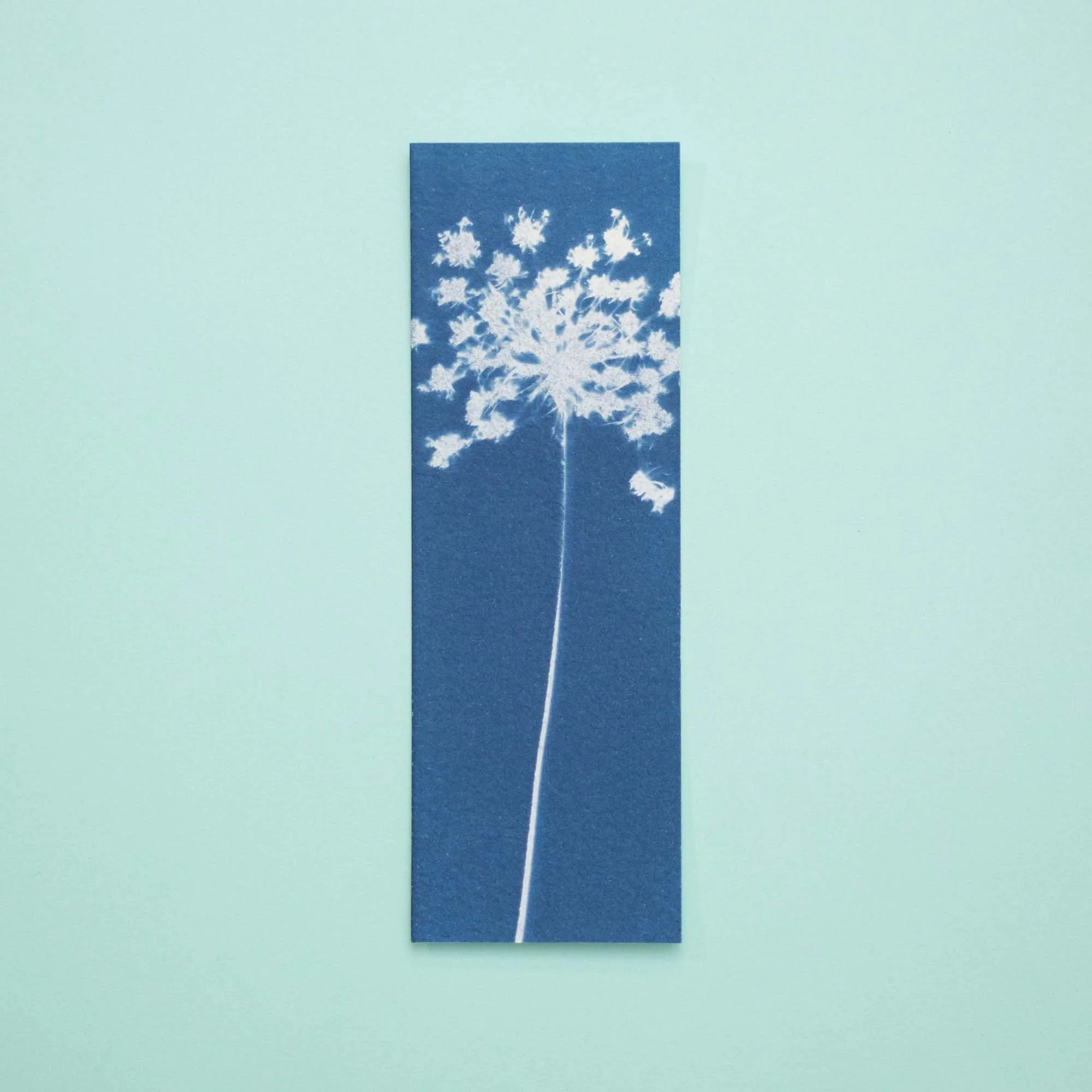 Botanical cyanotype