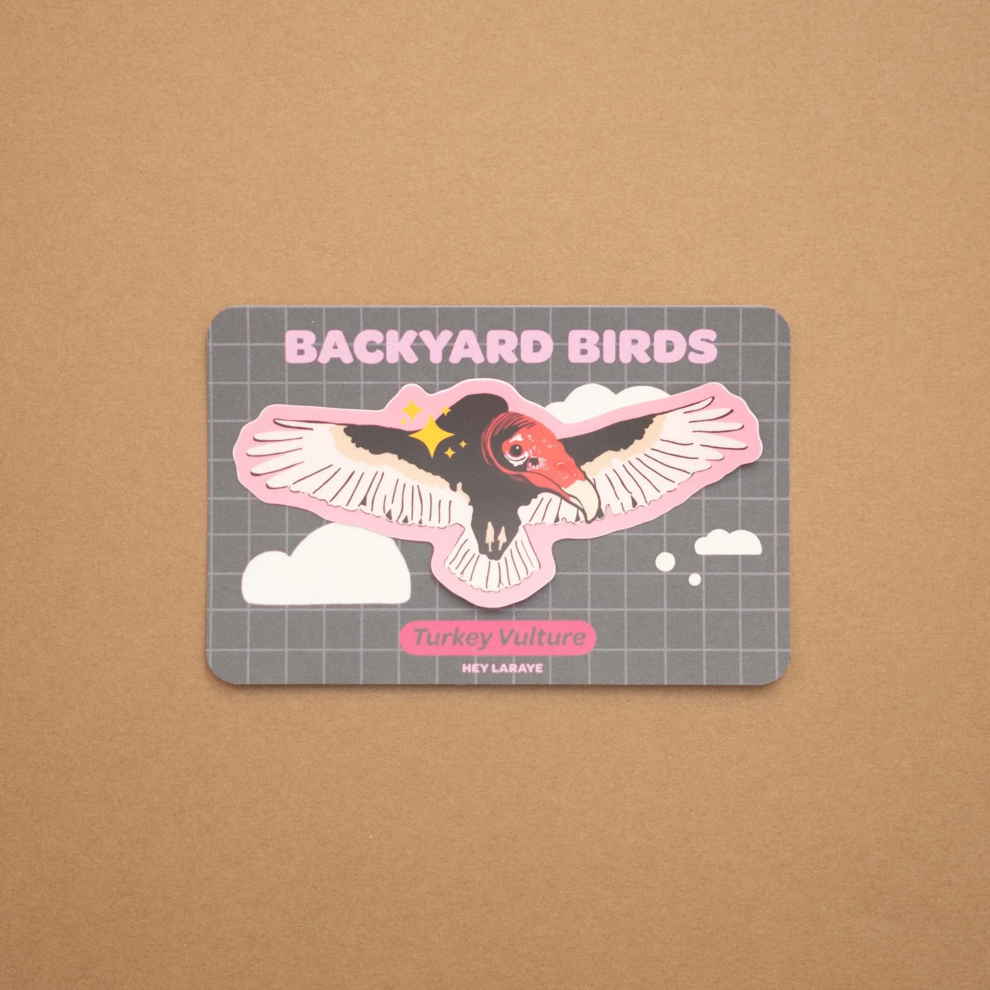 Backyard Birds - Turkey Vulture