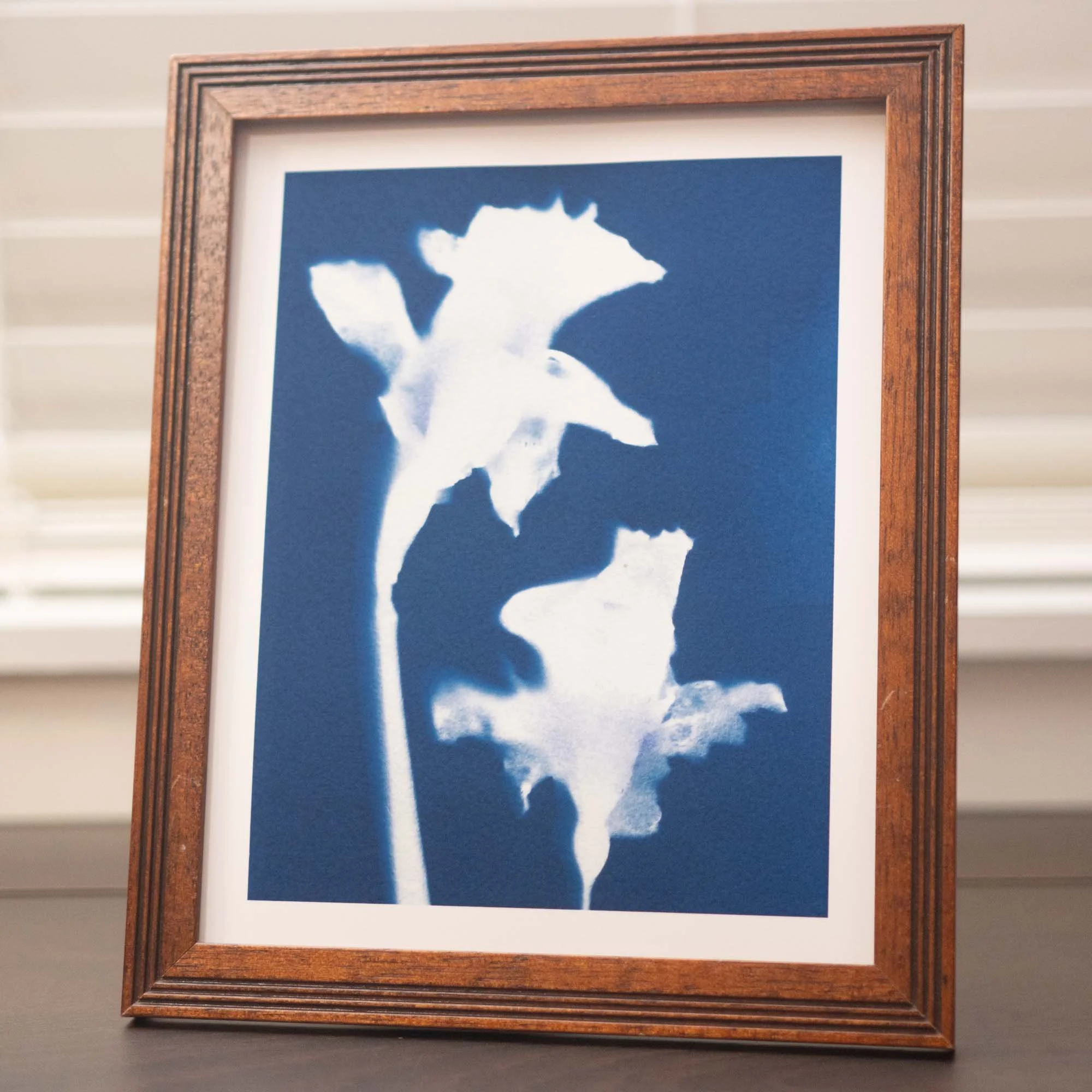 Cyanotype art print in a frame
