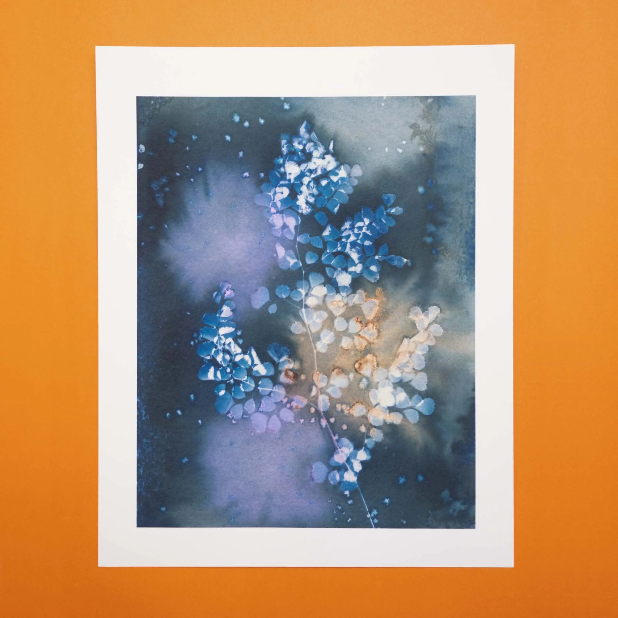 Cyanotype art print