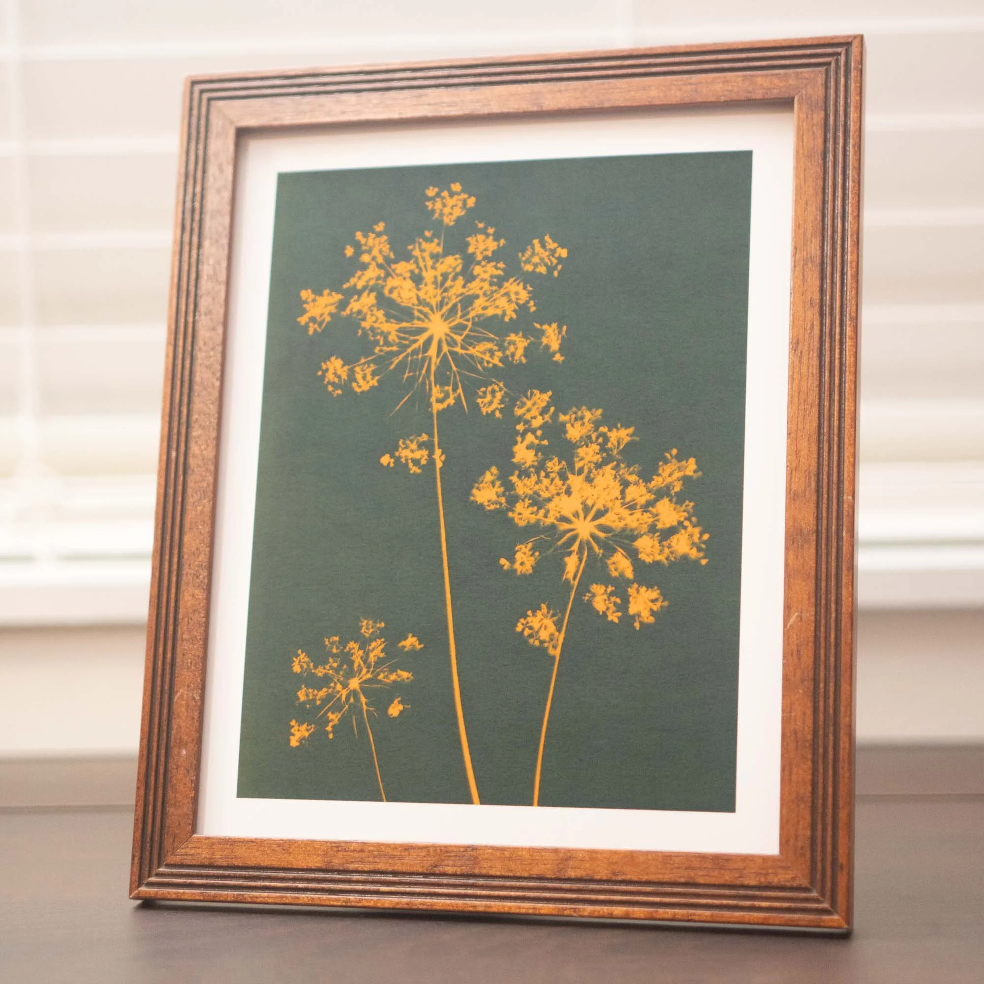 Cyanotype art print