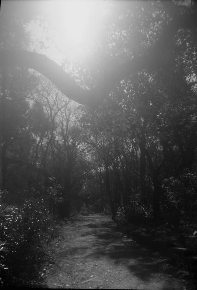 Zilker Botanical Garden