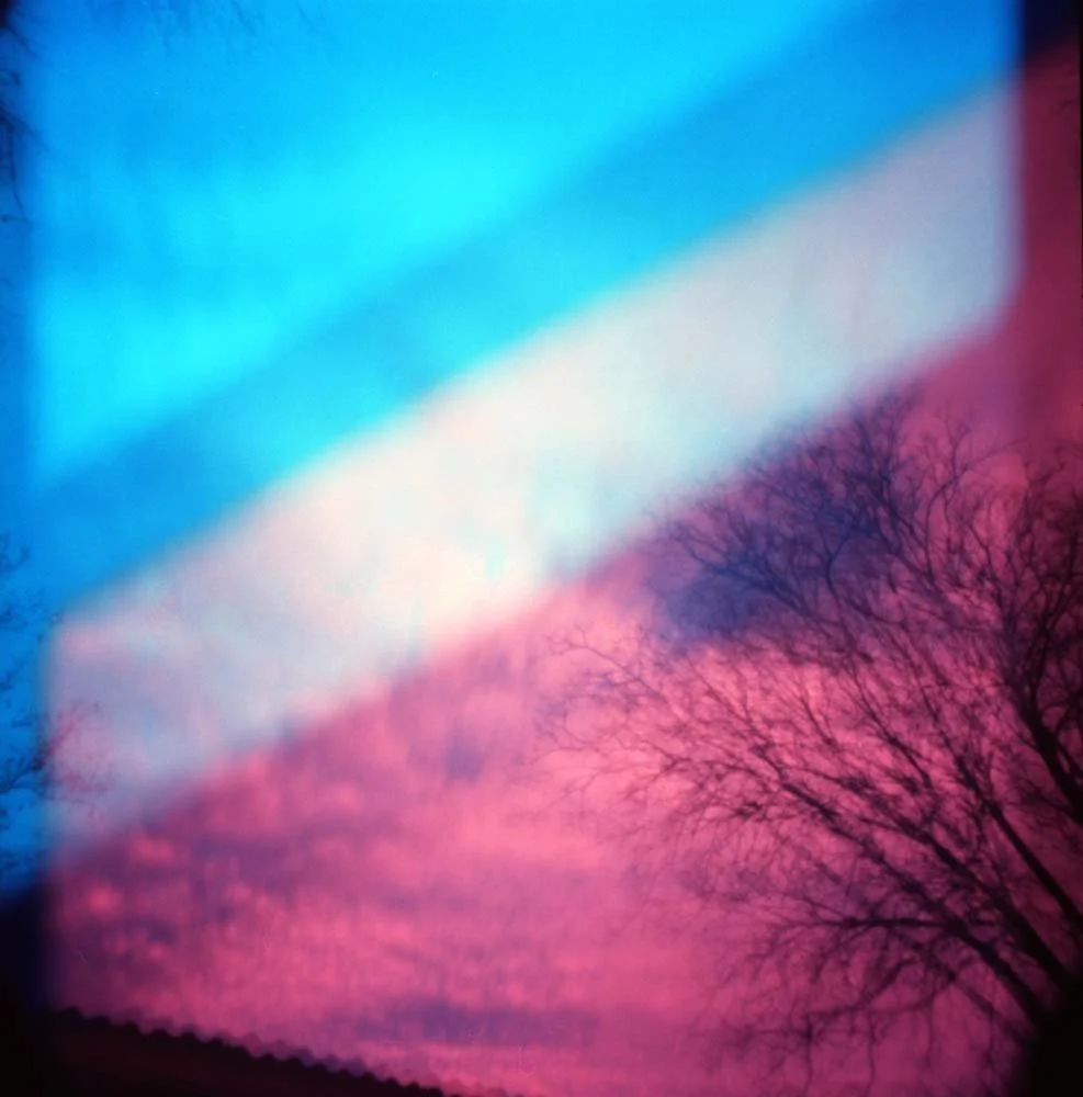 Trees