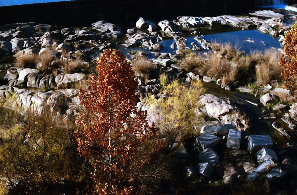 Blog - Llano 10.jpg