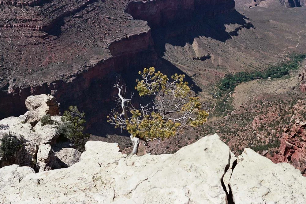 Grand Canyon