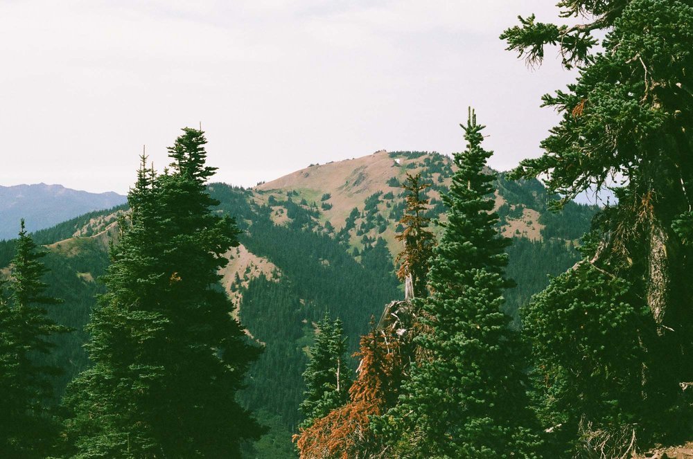 Olympic National Park