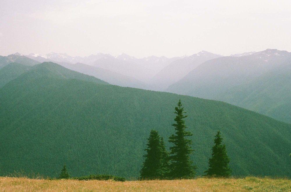 Olympic National Park