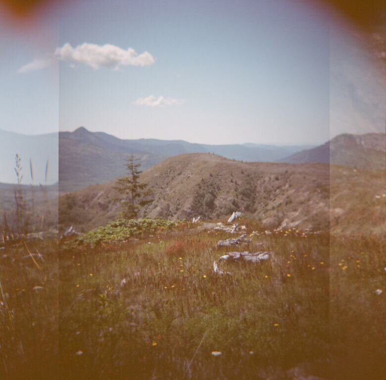 Mt. St. Helens