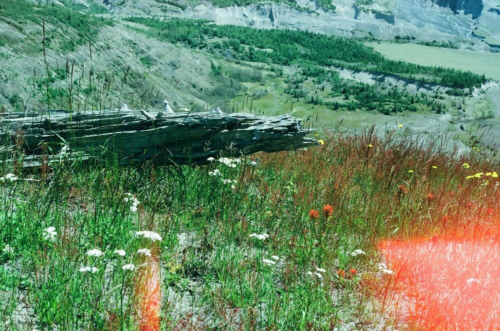 Mt. St. Helens National Park