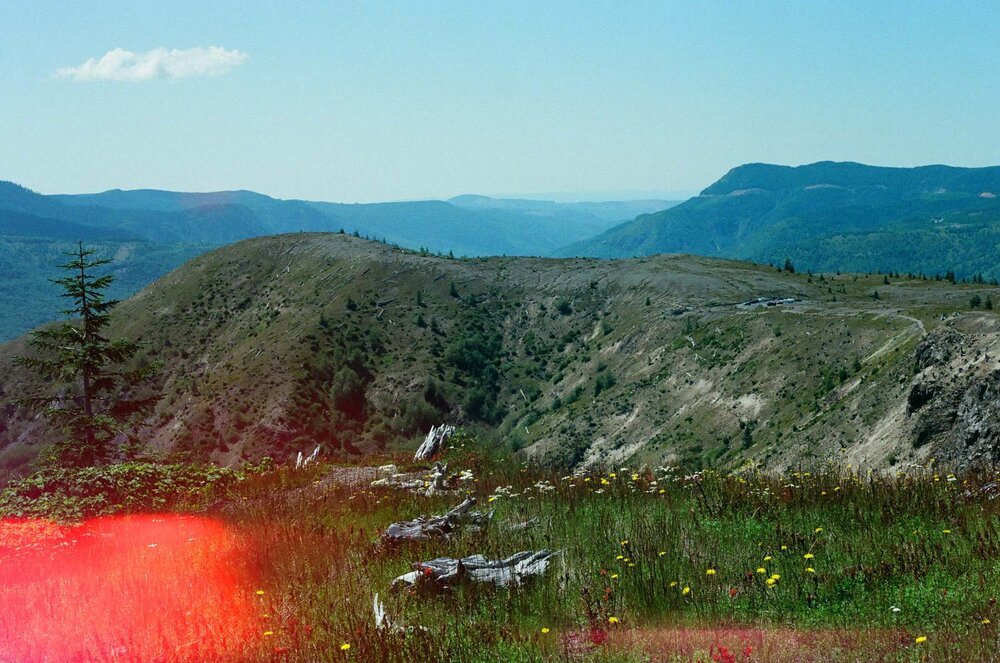 Mt. St. Helens National Park