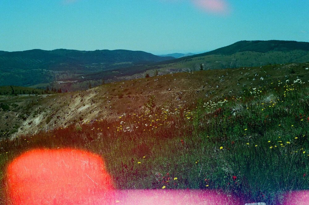 Mt. St. Helens National Park