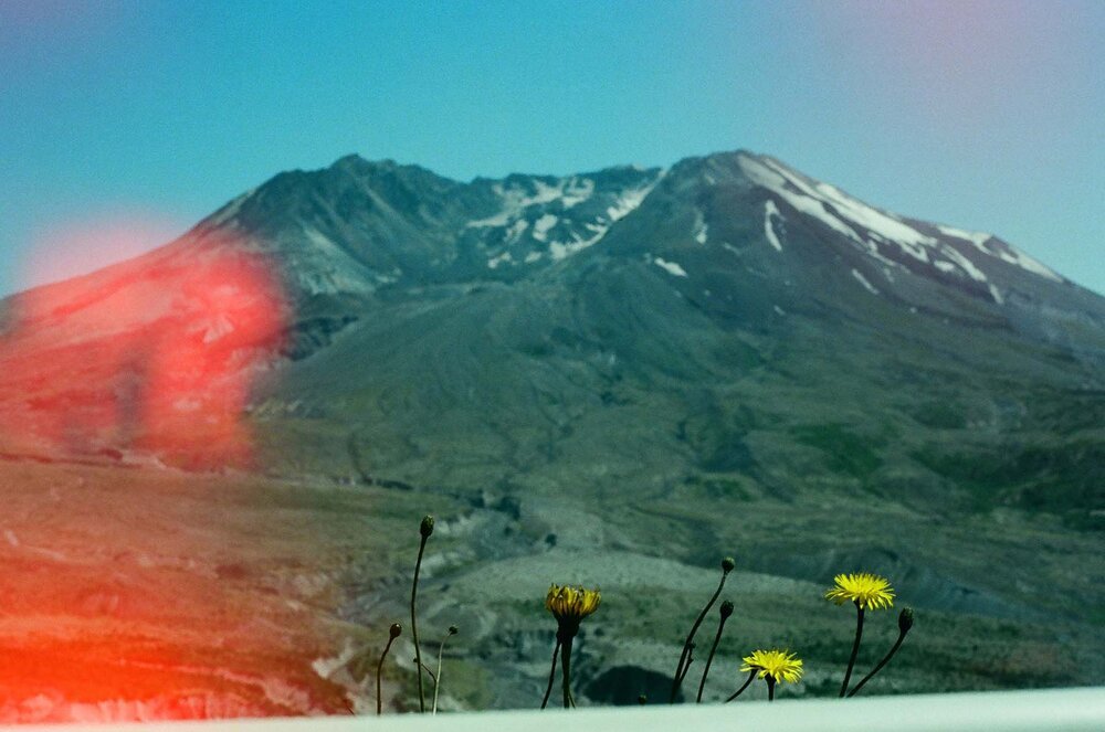 Mt. St. Helens National Park