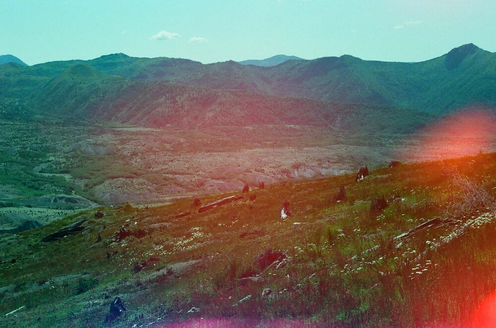 Mt. St. Helens National Park