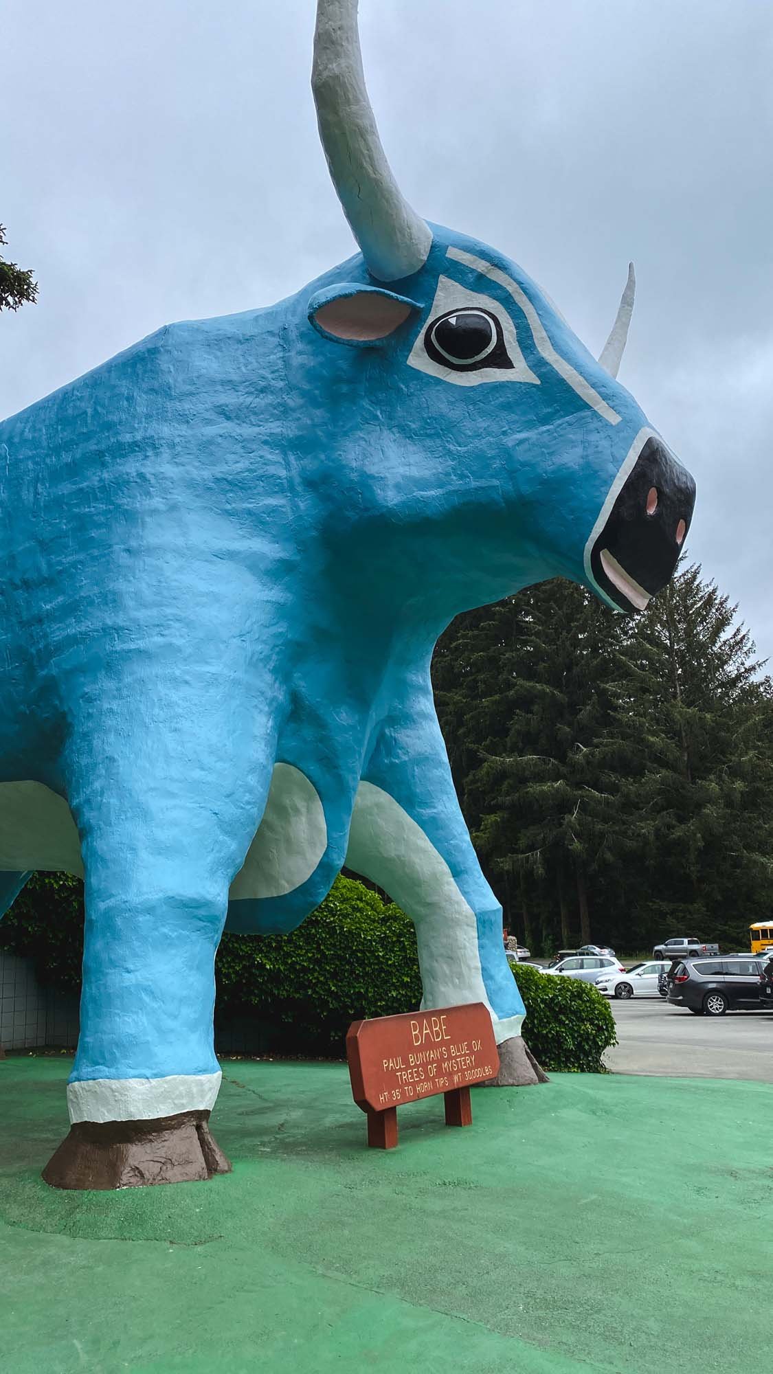 Babe the Blue Ox at Trees of Mystery