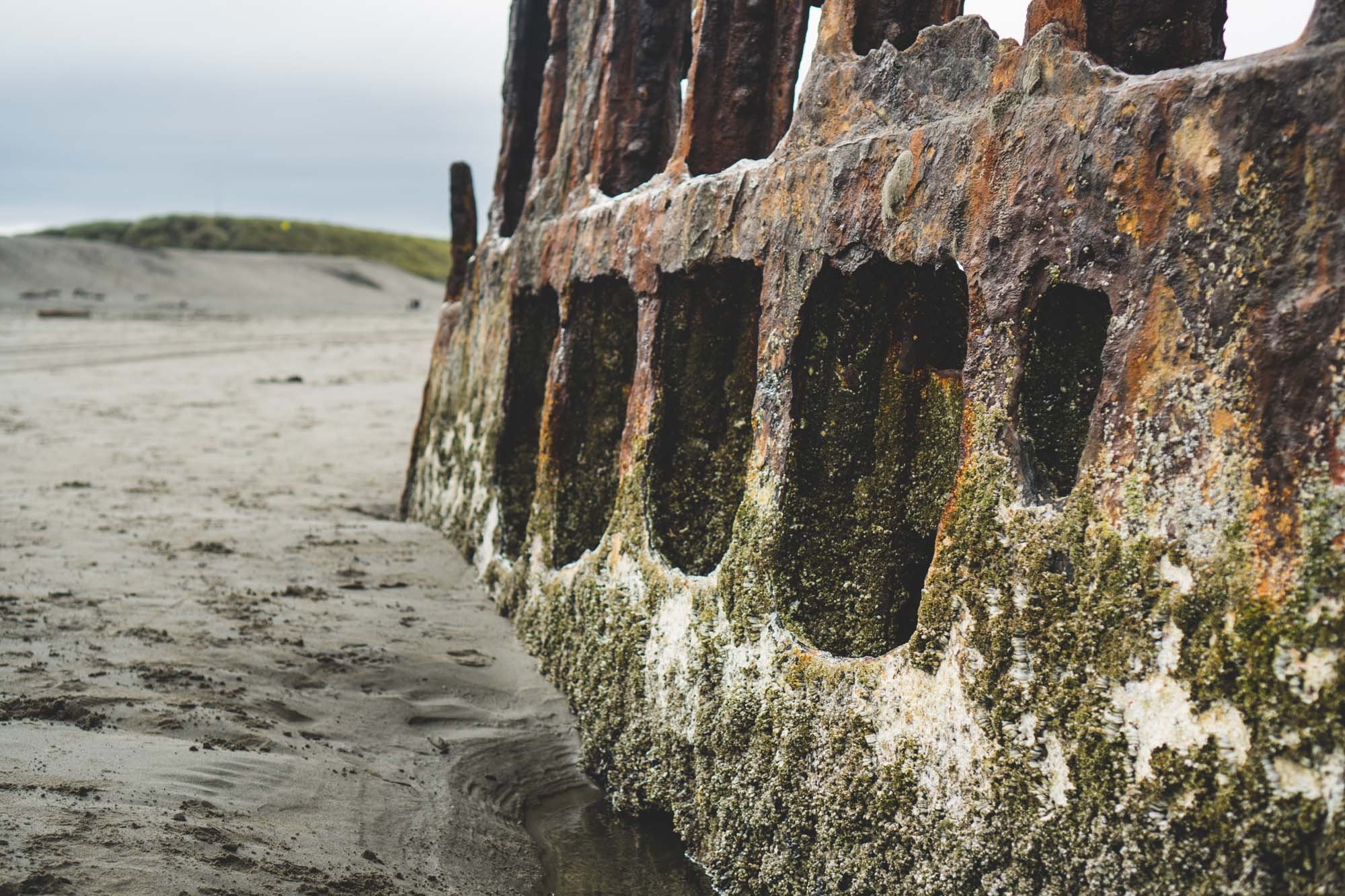 Peter Iredale Wreck on the beach near Astoria, Oregon