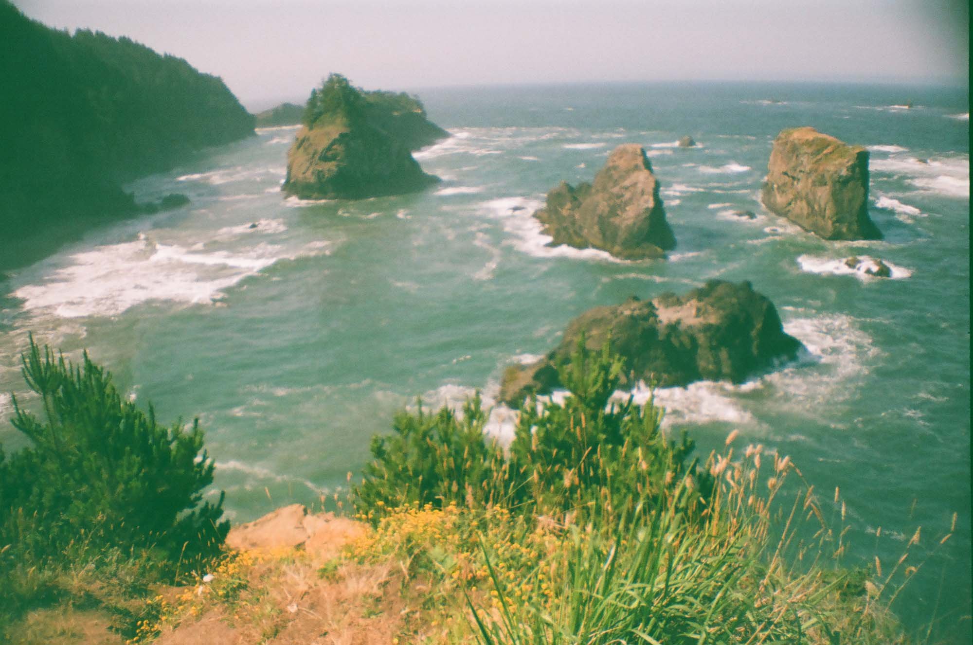 Arch Rock Viewpoint, Brookings, OR
