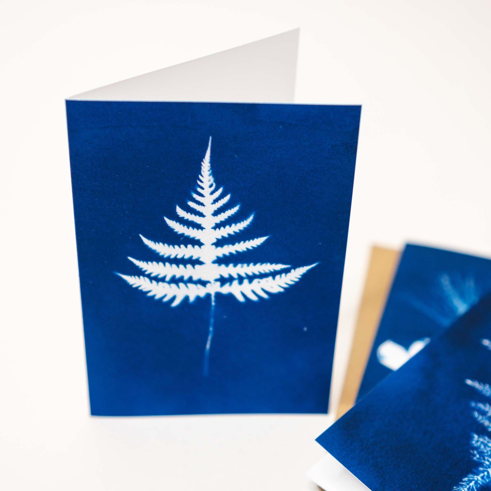Cyanotype Notecard Set