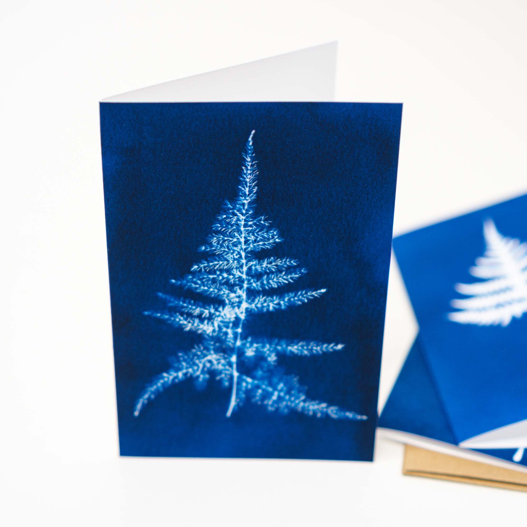 Cyanotype Notecard Set