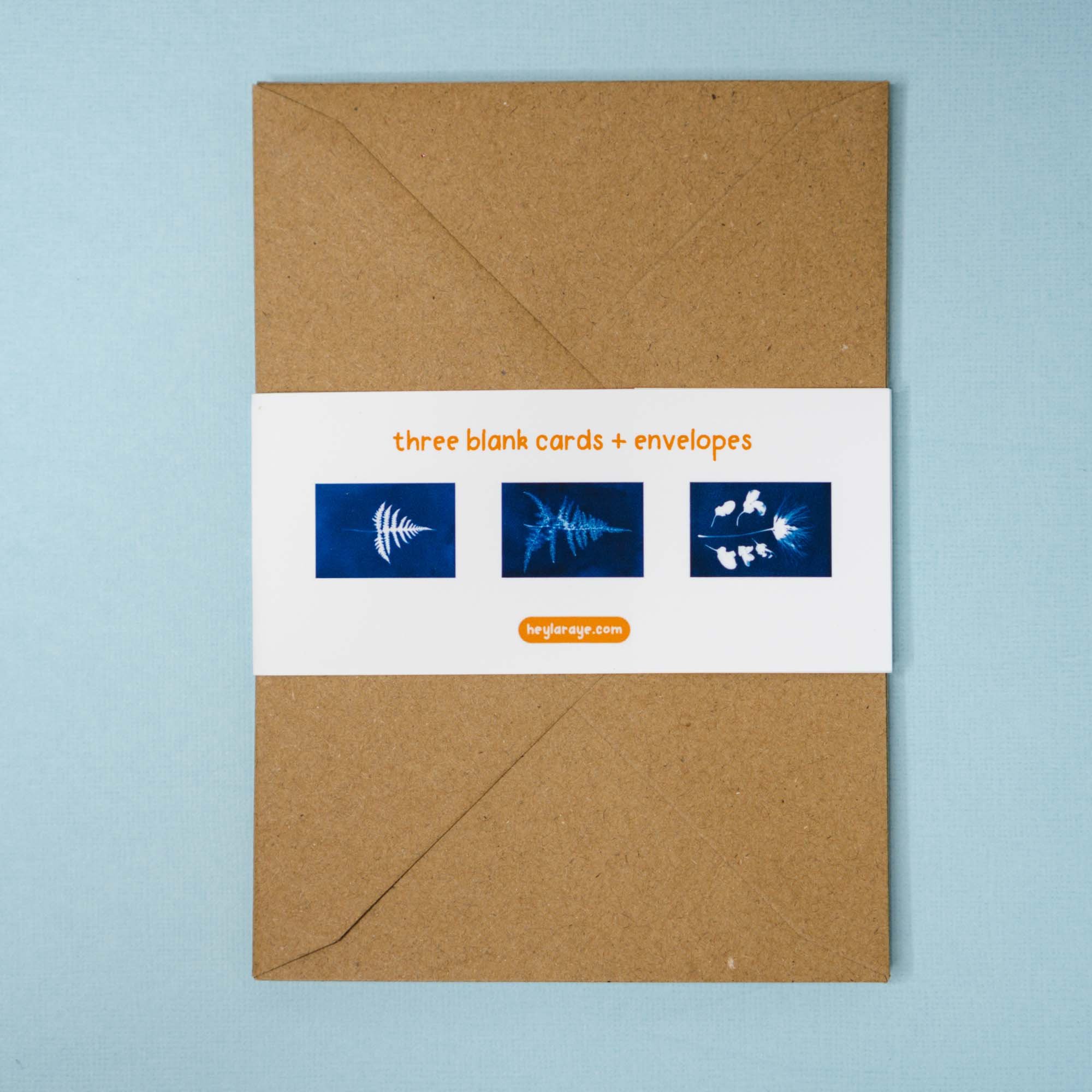 Cyanotype Notecard Set