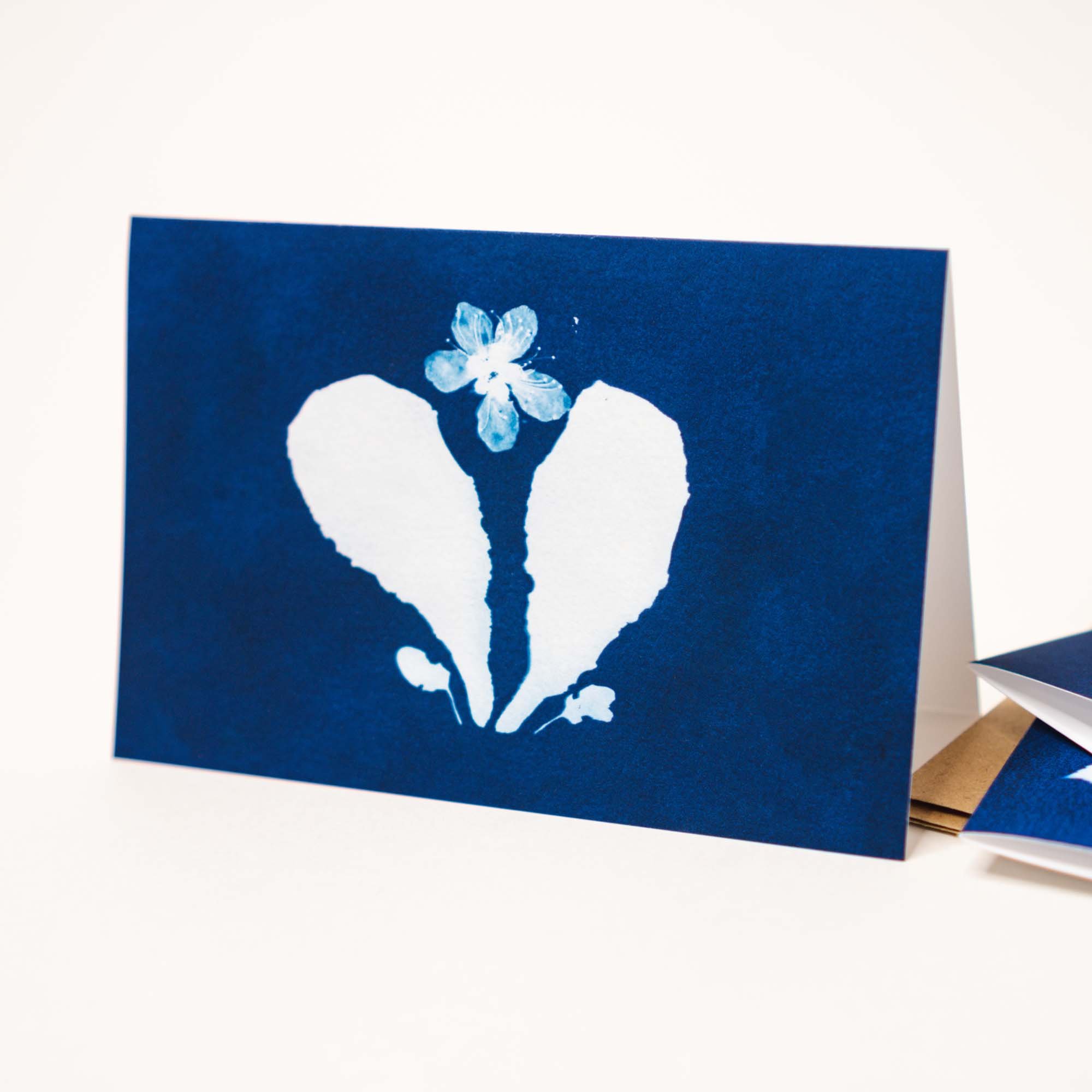 Cyanotype Notecard Set