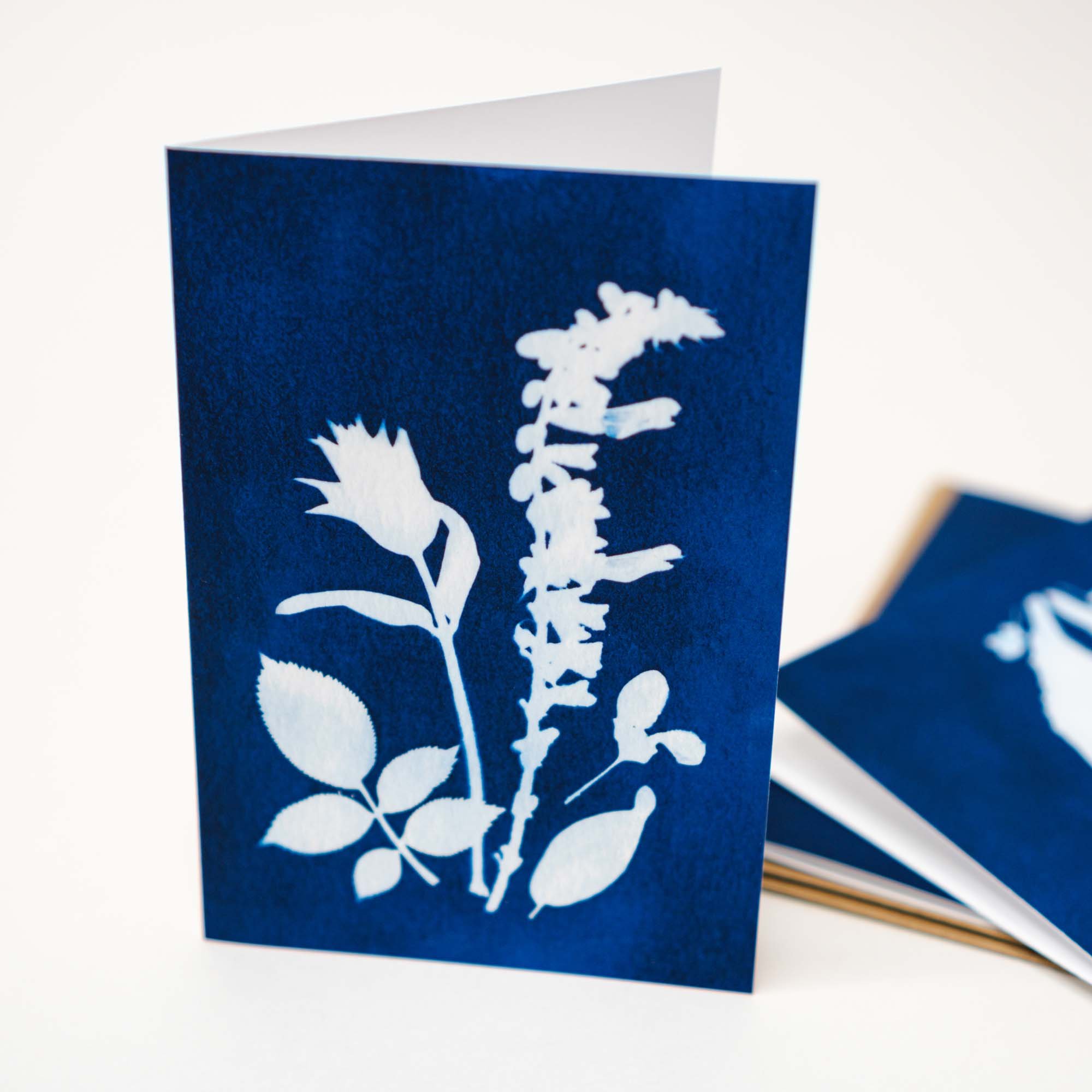 Cyanotype Notecard Set