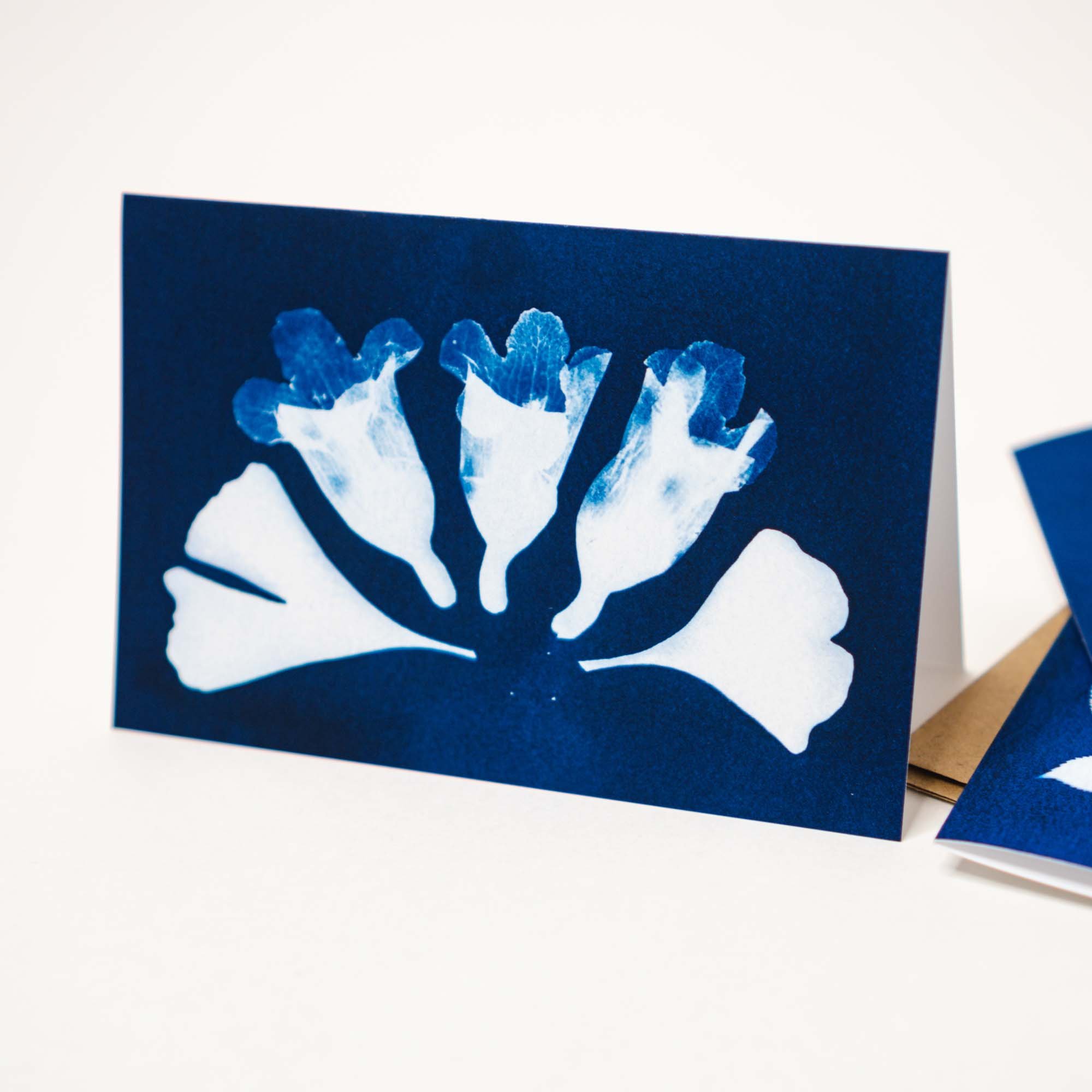 Cyanotype Notecard Set